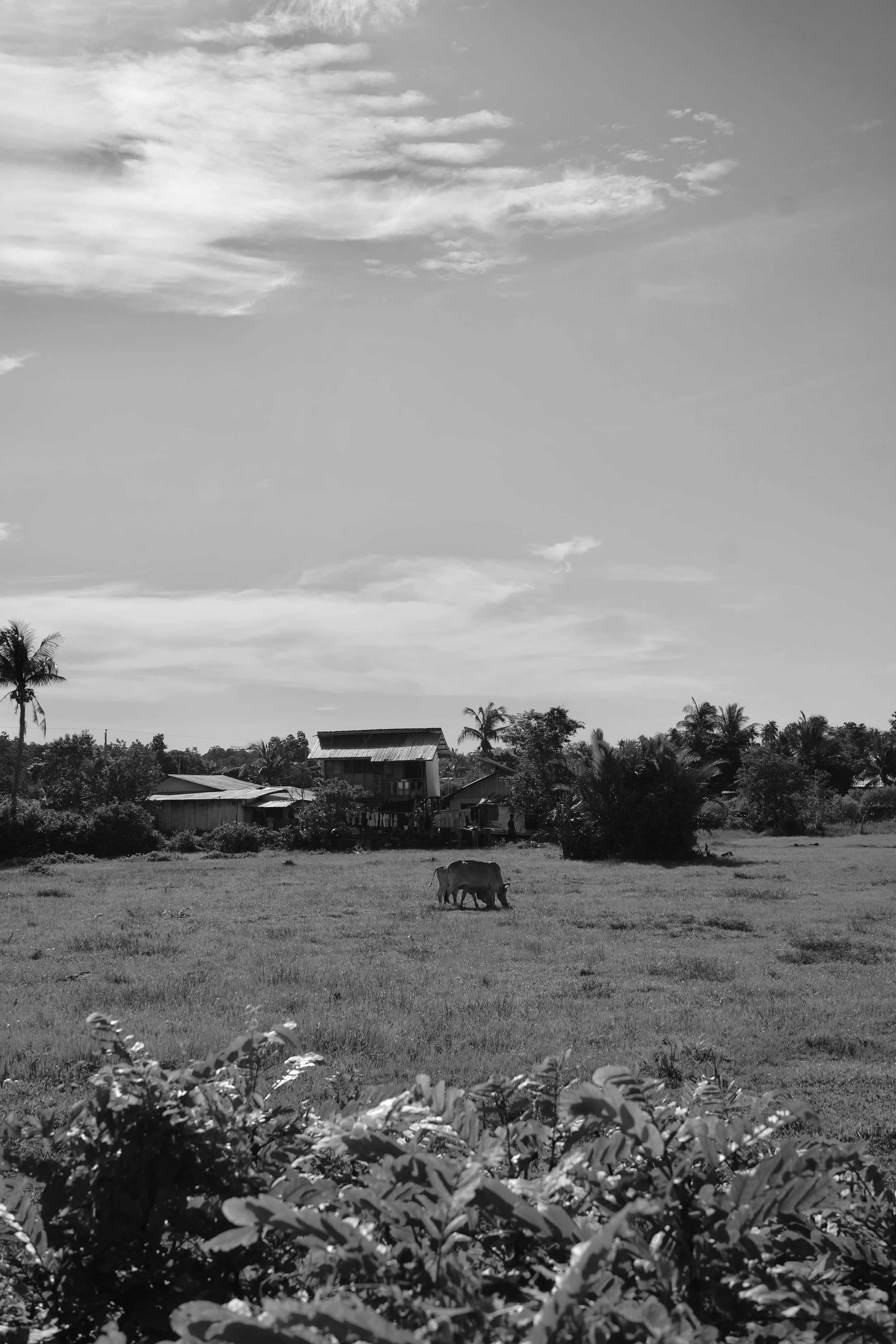 DSC04324.jpeg