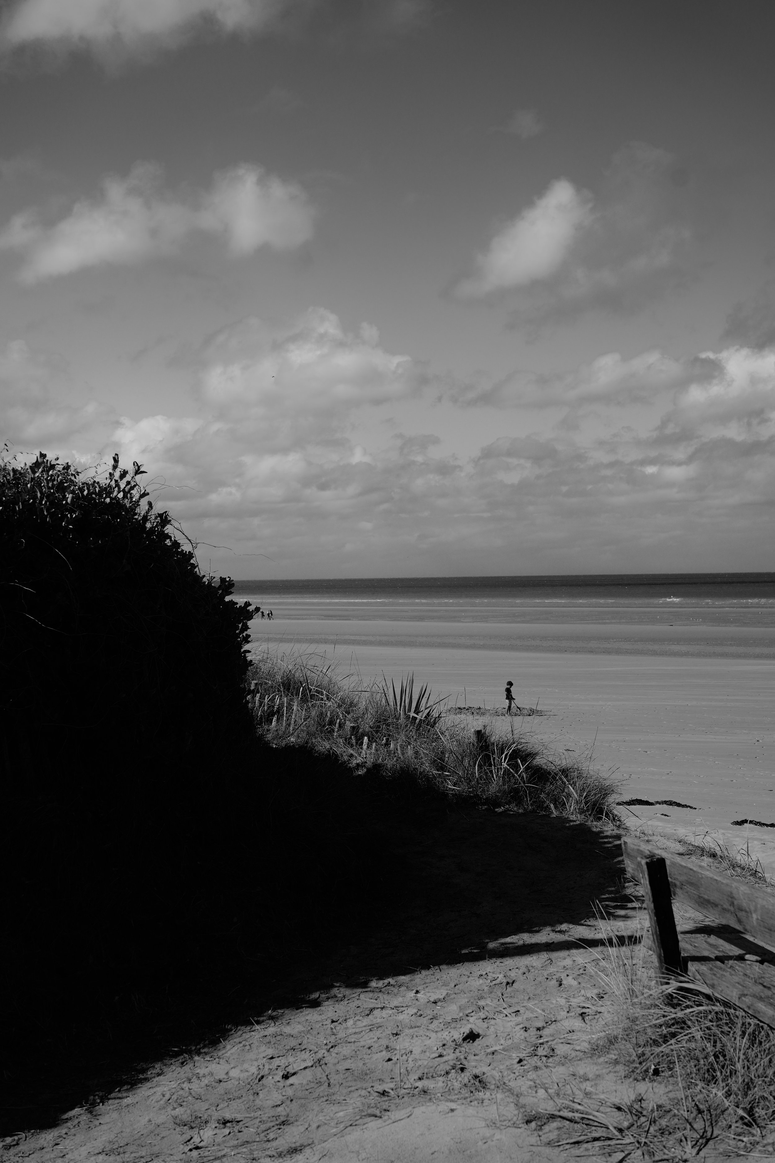 DSC04738.jpeg