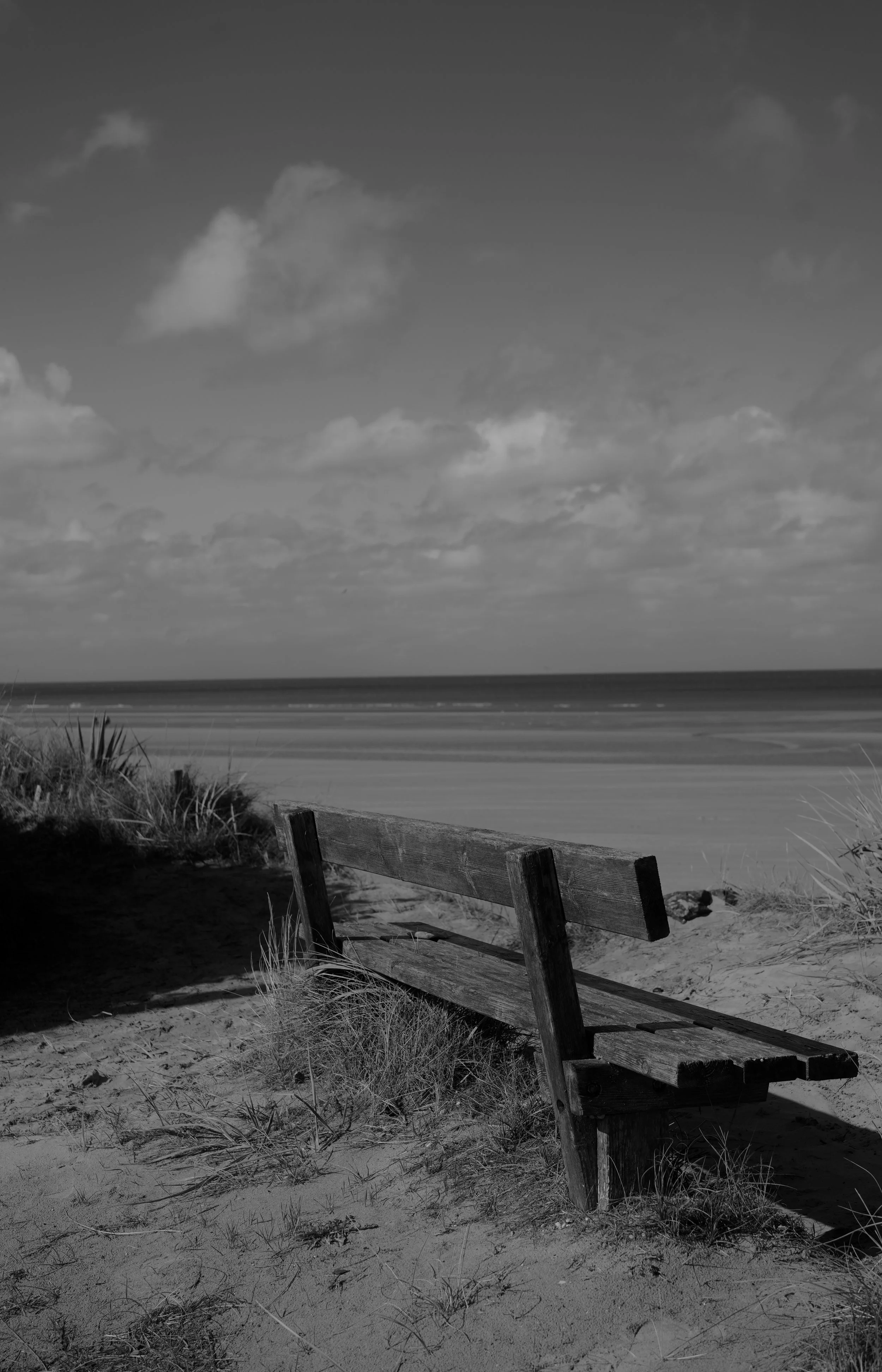 DSC04736.jpeg