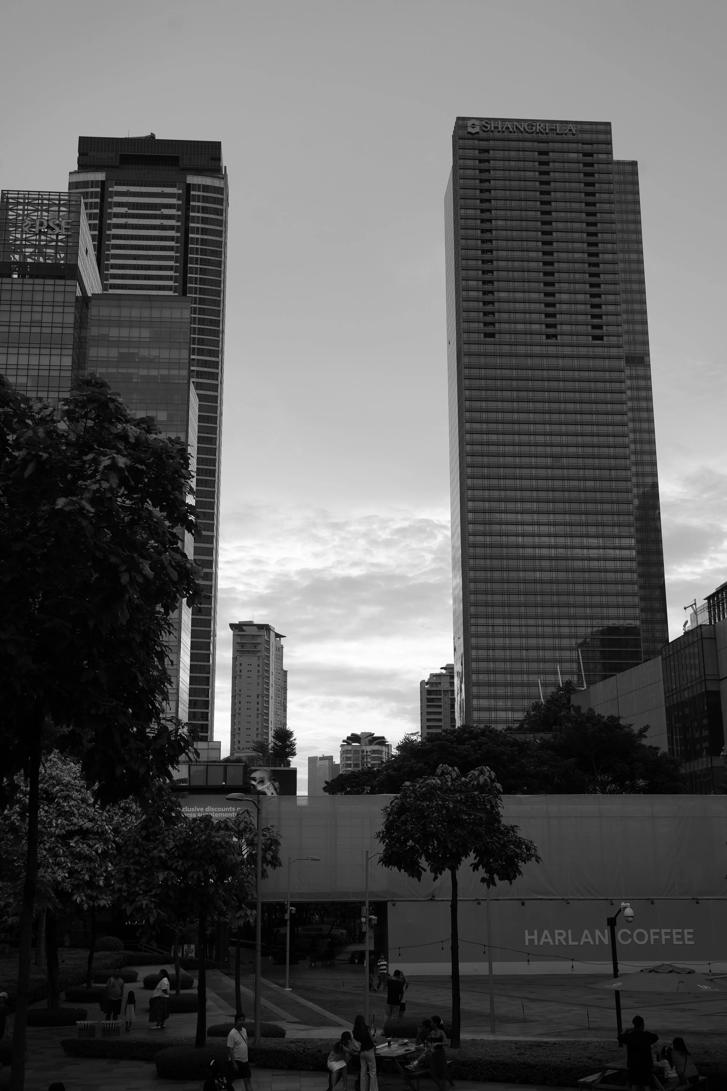 DSC03844.jpeg