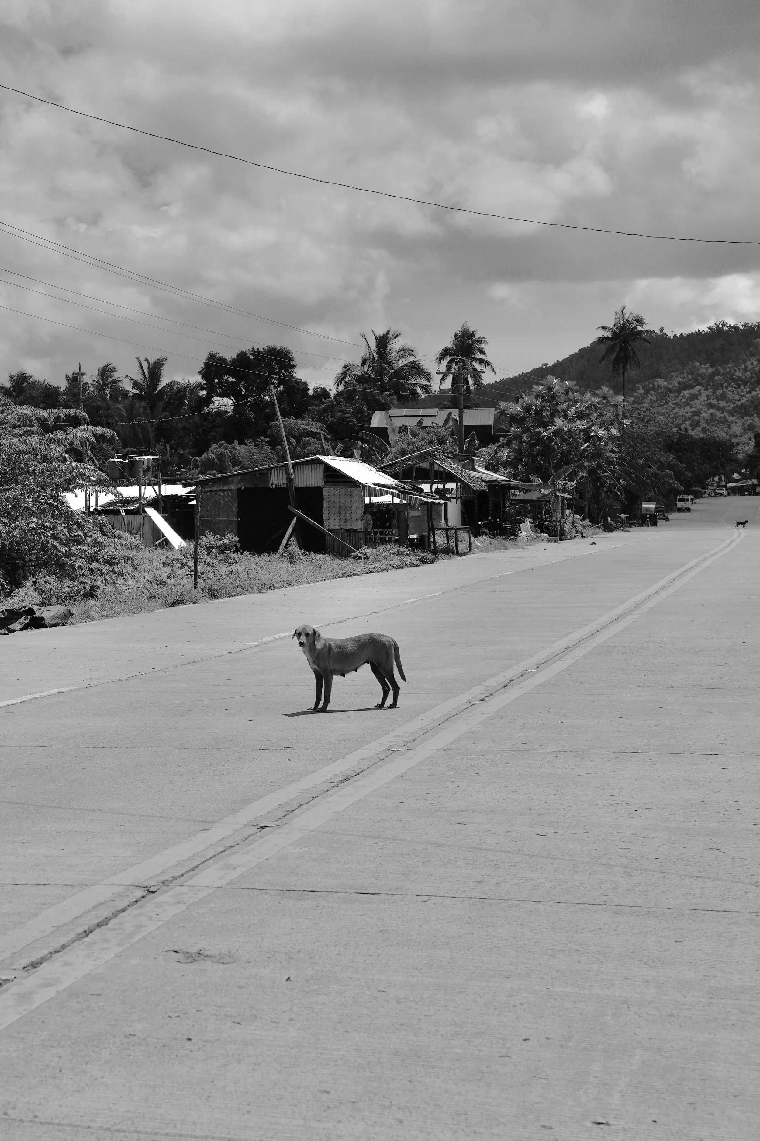 DSC04077.jpeg