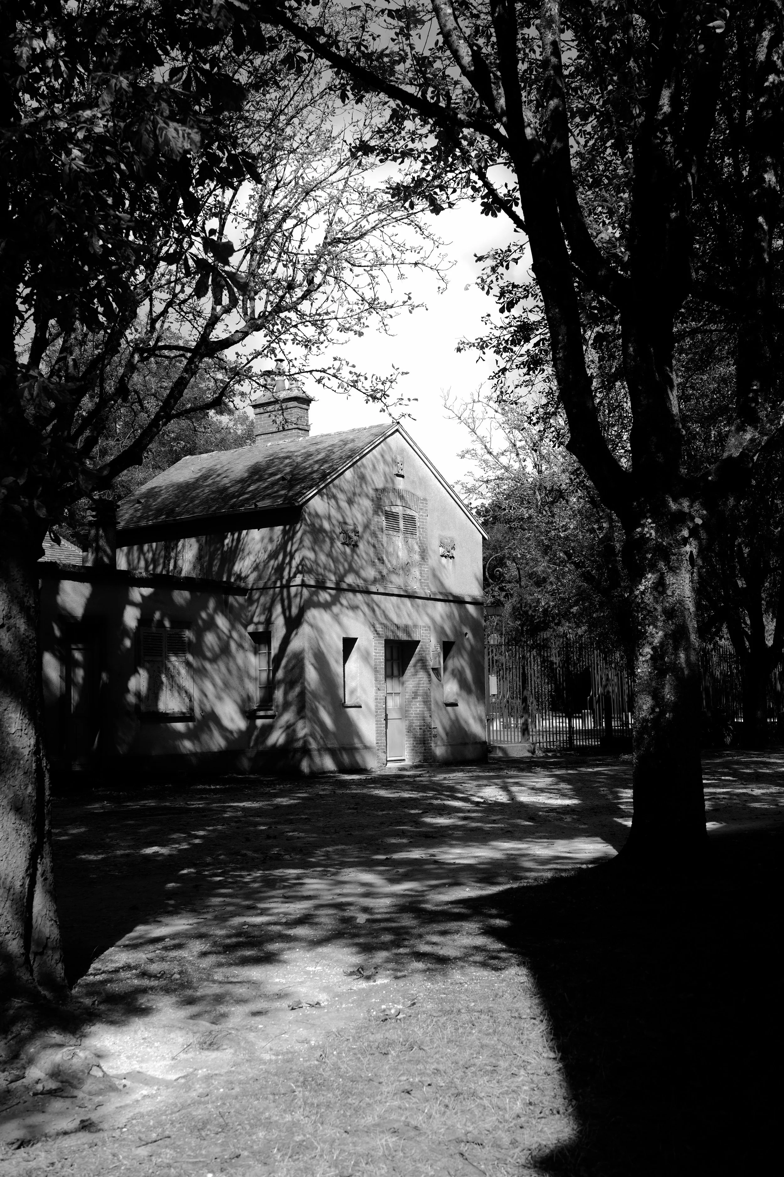 DSC04884.jpeg
