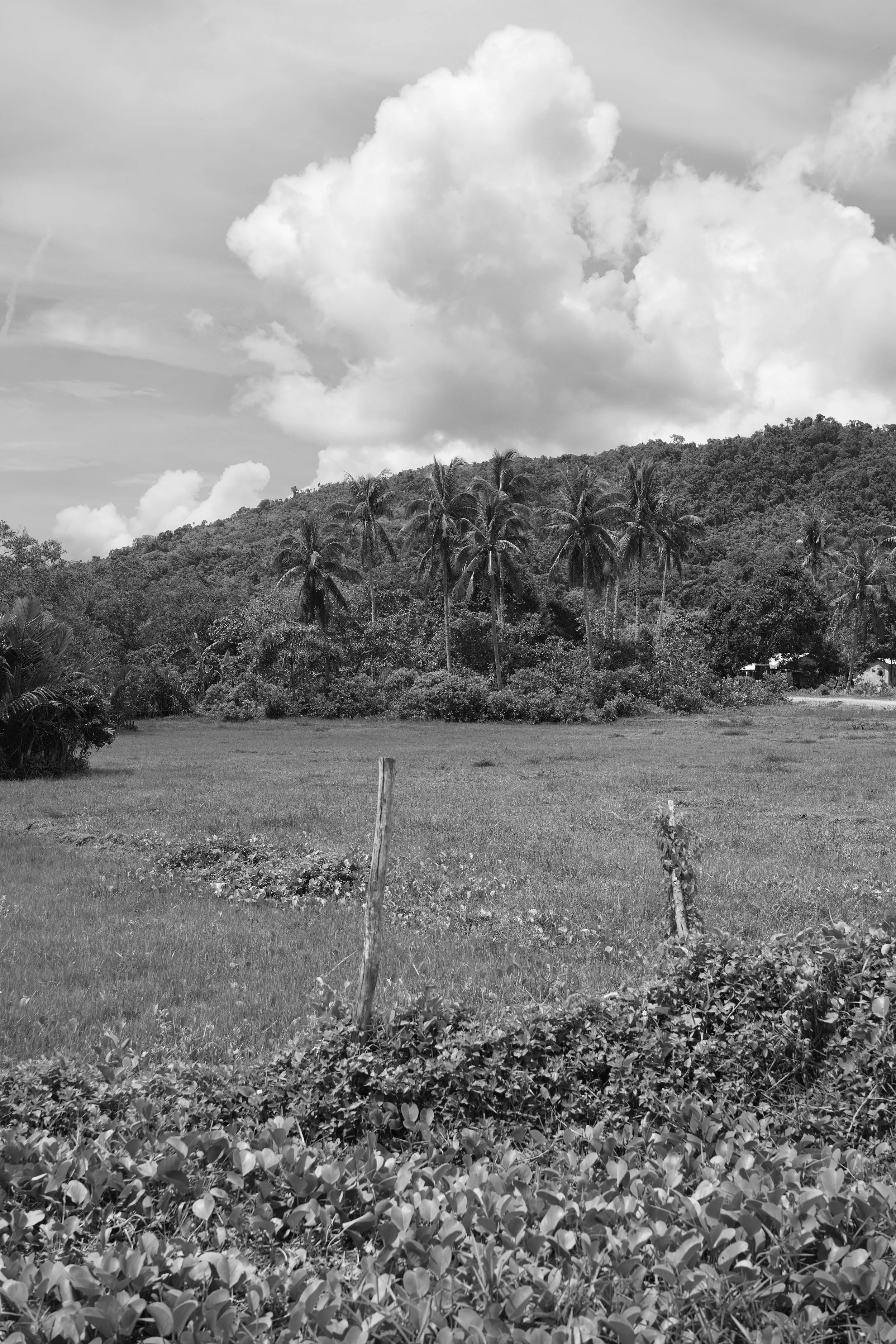 DSC04289.jpeg