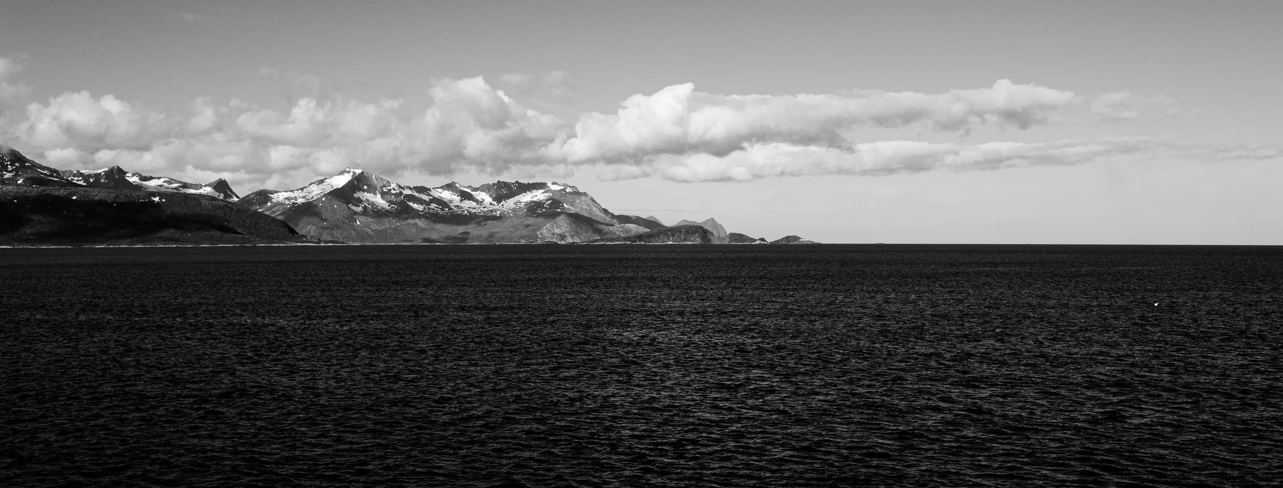 DSC_1679-2.jpg