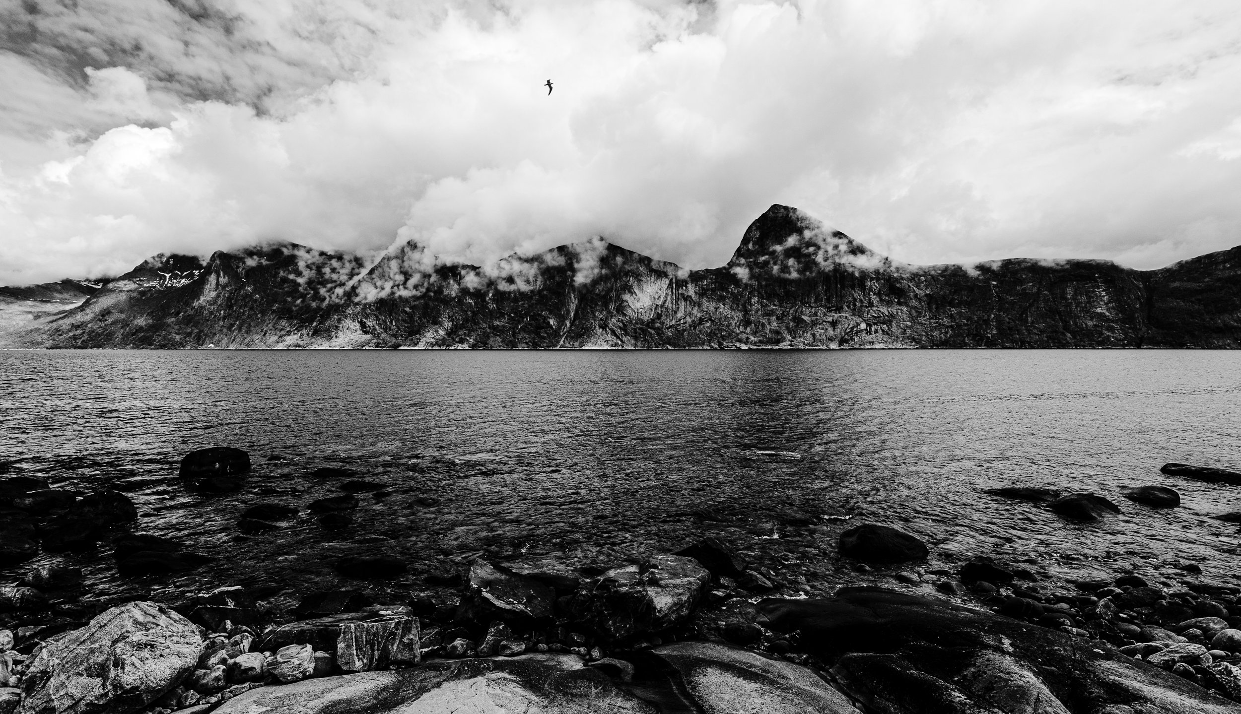 DSC_1910-2.jpg