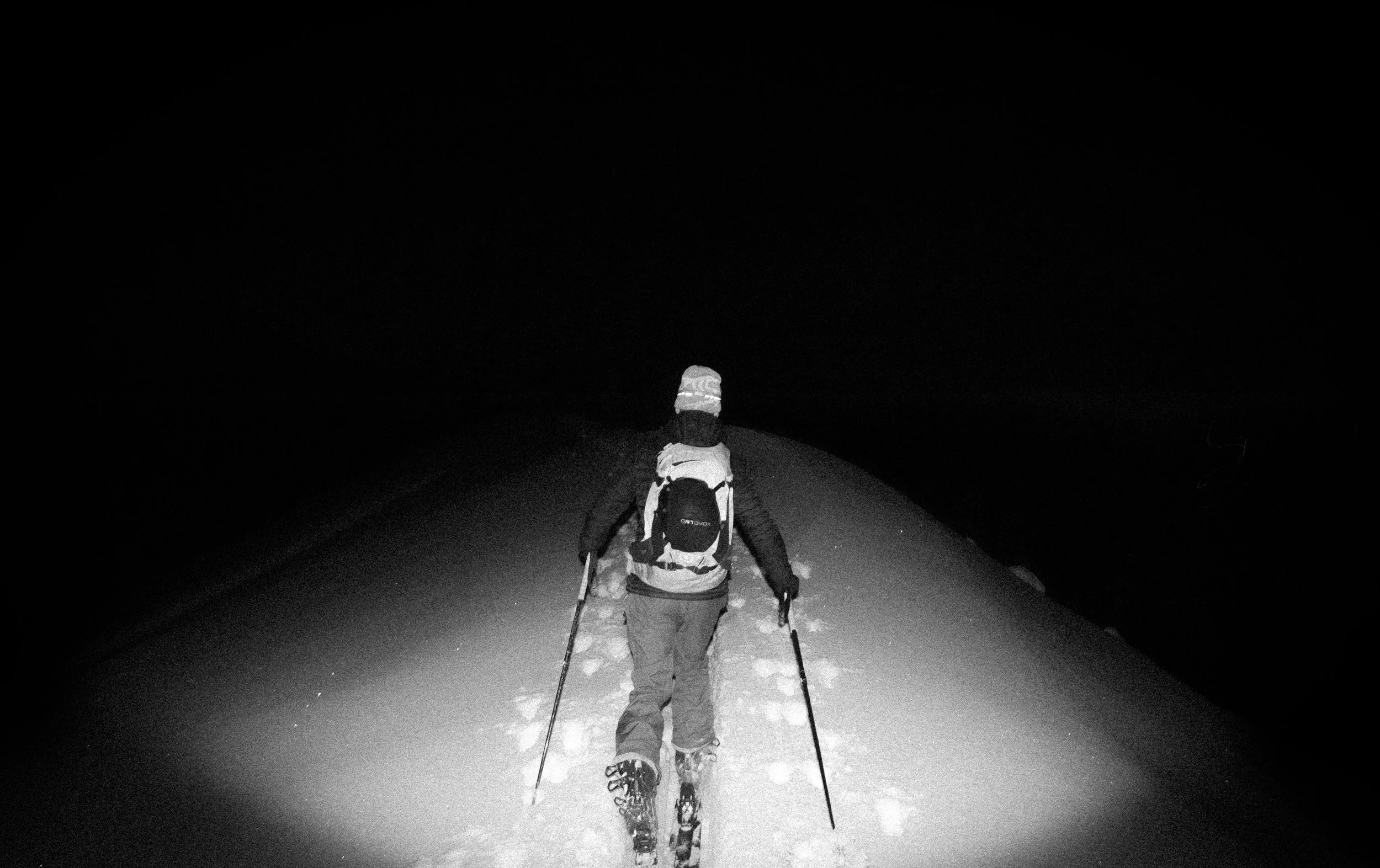 DSC_8401.jpg