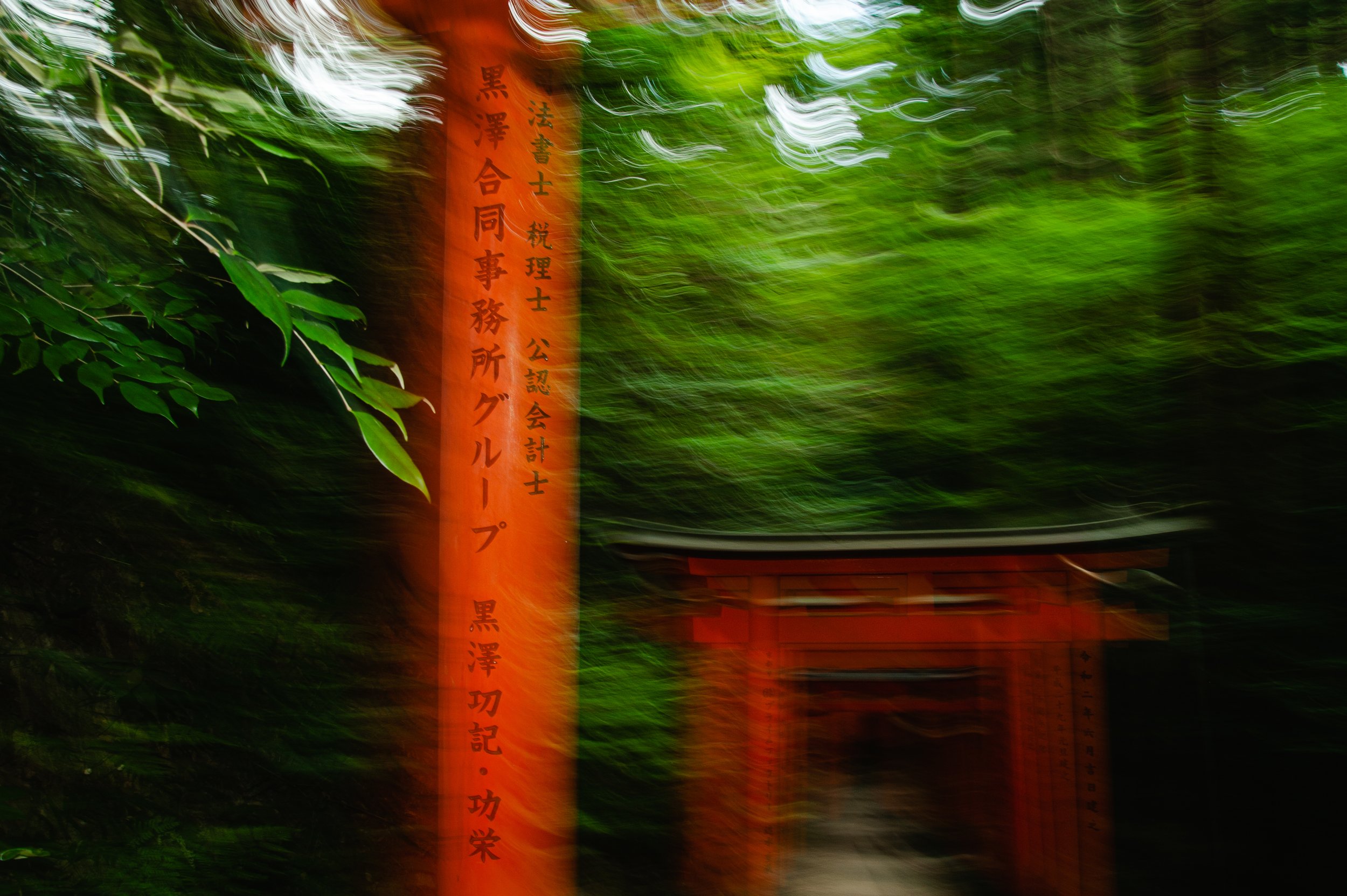 DSC_6691.jpeg