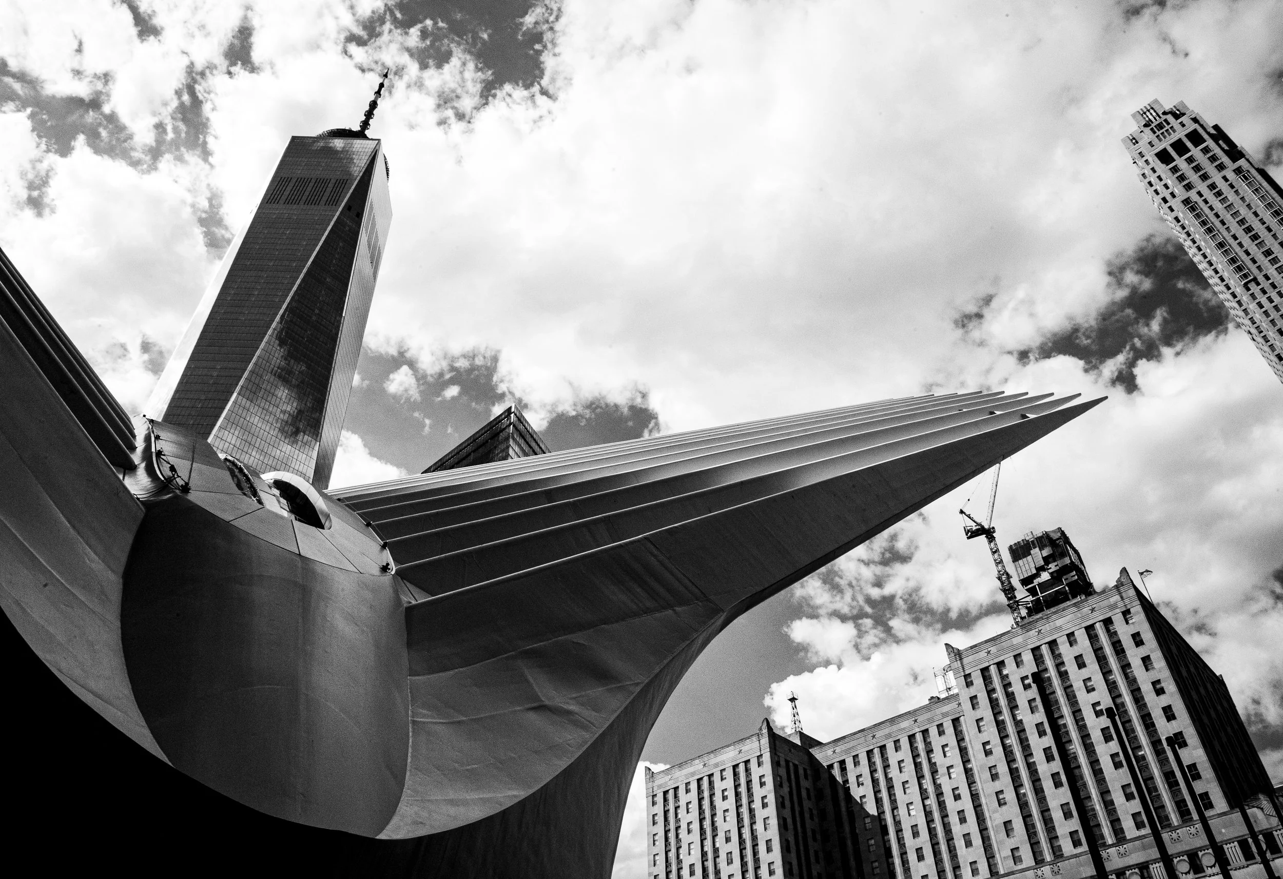 DSC_3487.jpg