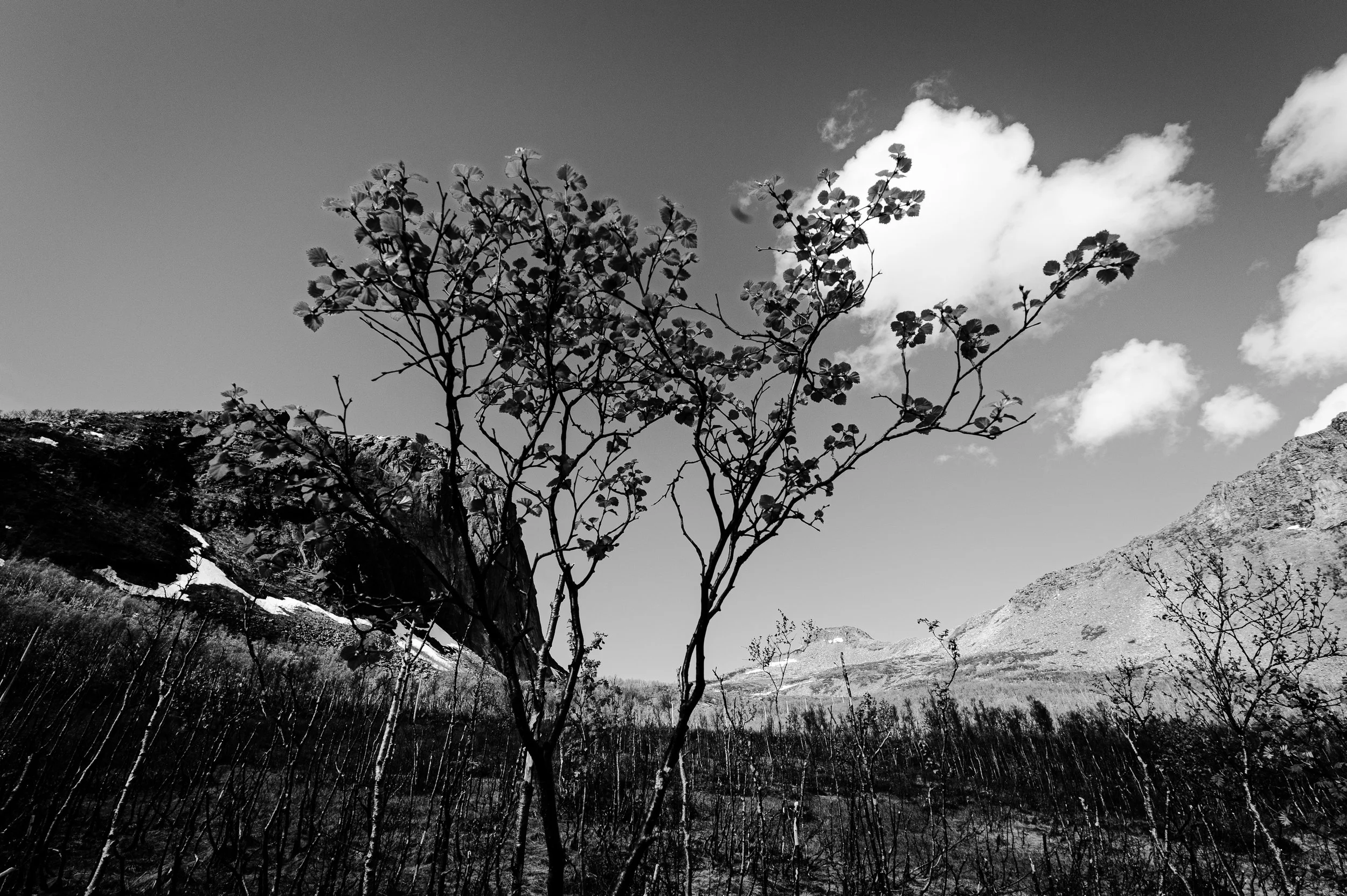DSC_1739-2.jpg
