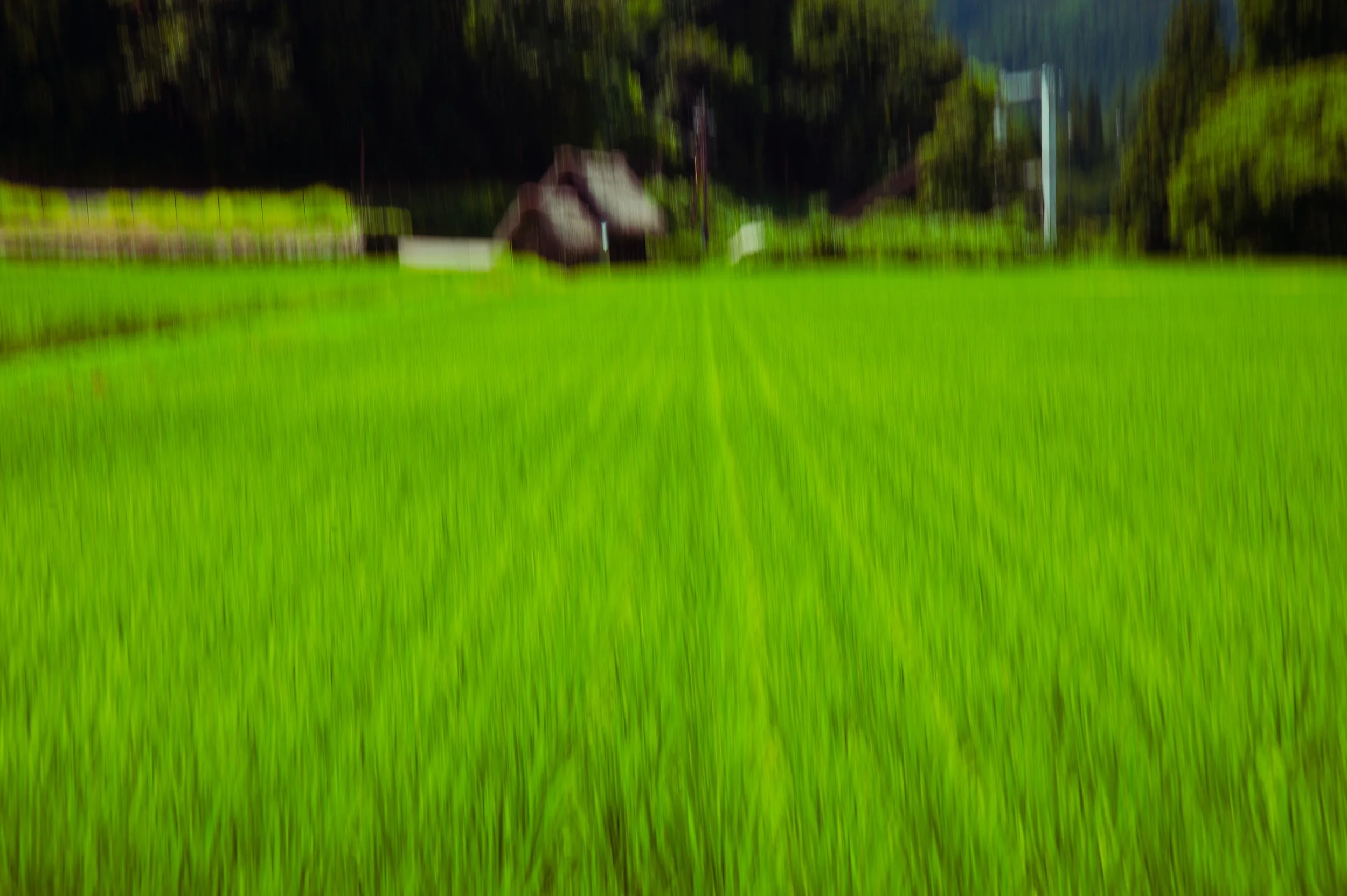 DSC_6348.jpeg
