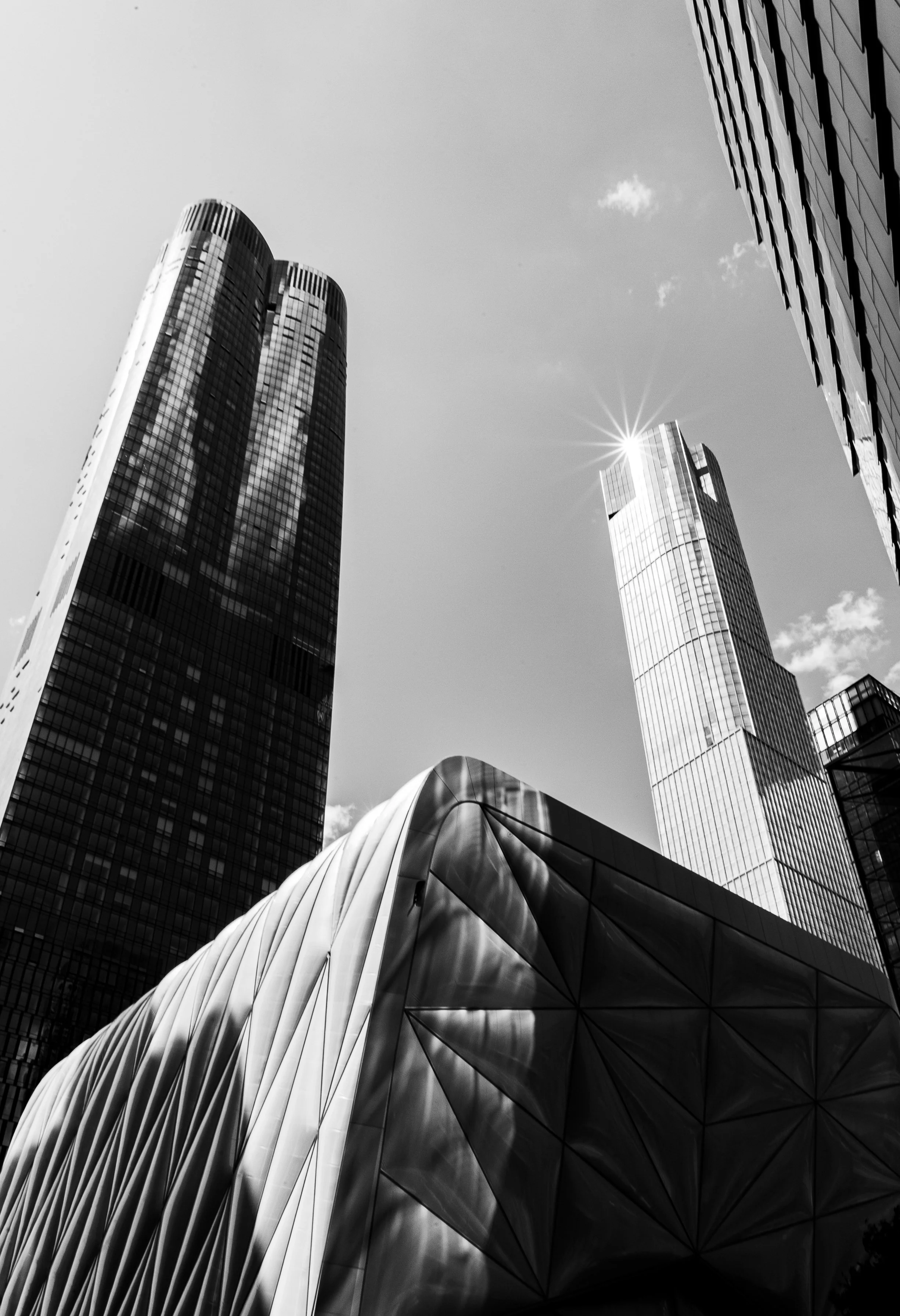 DSC_3929.jpg