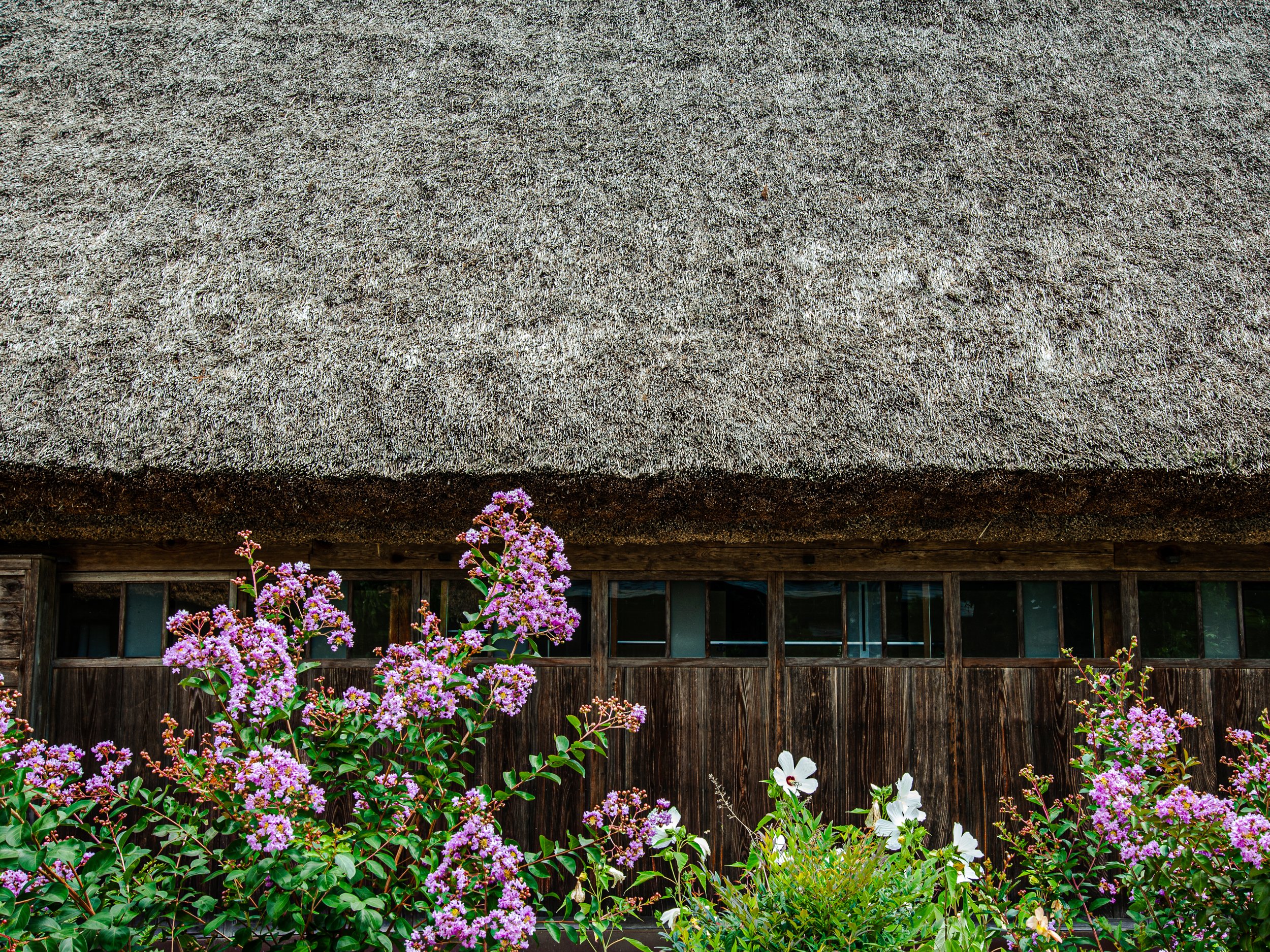 DSC_6305-2.jpg