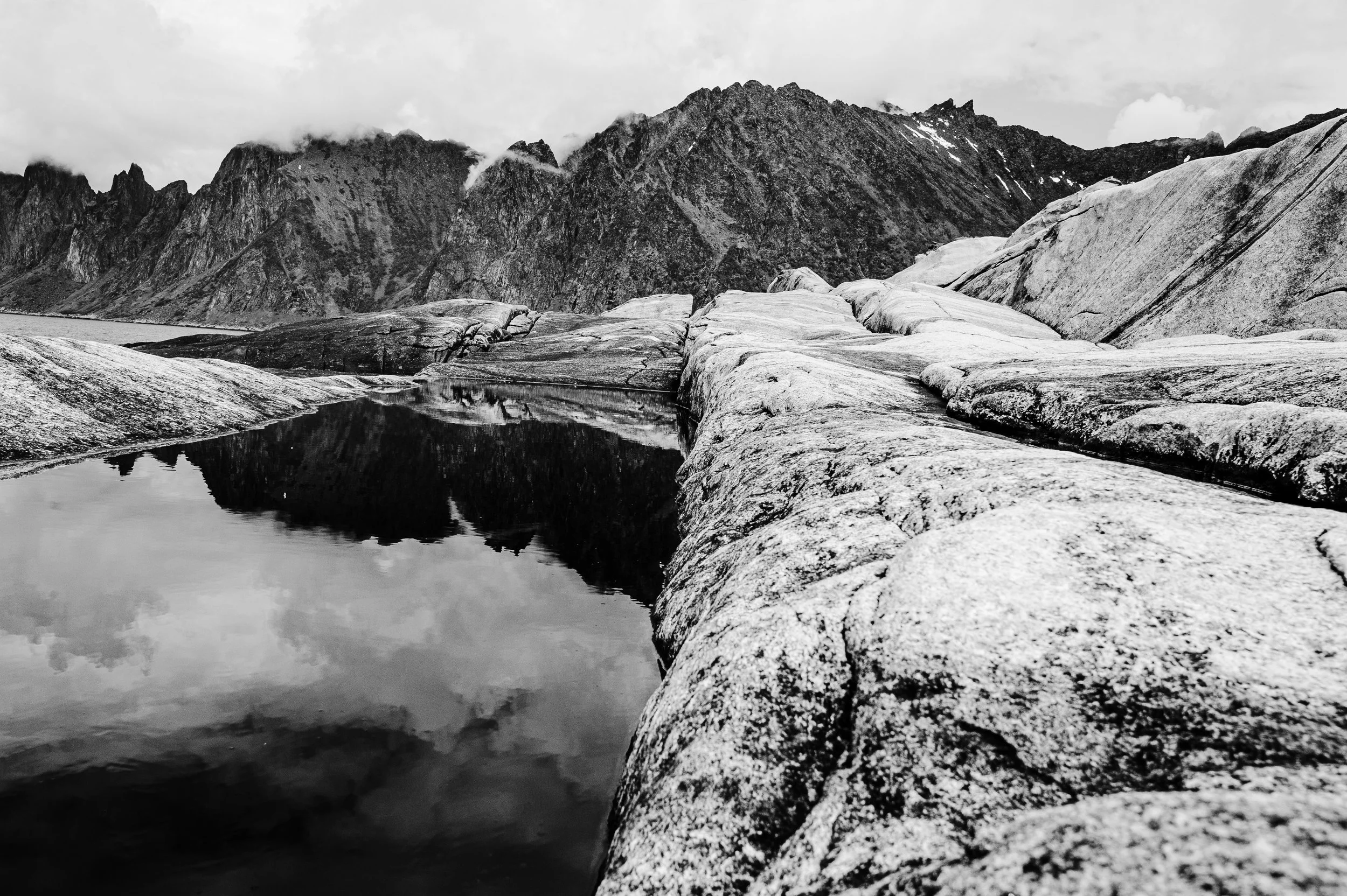 DSC_1978.jpg