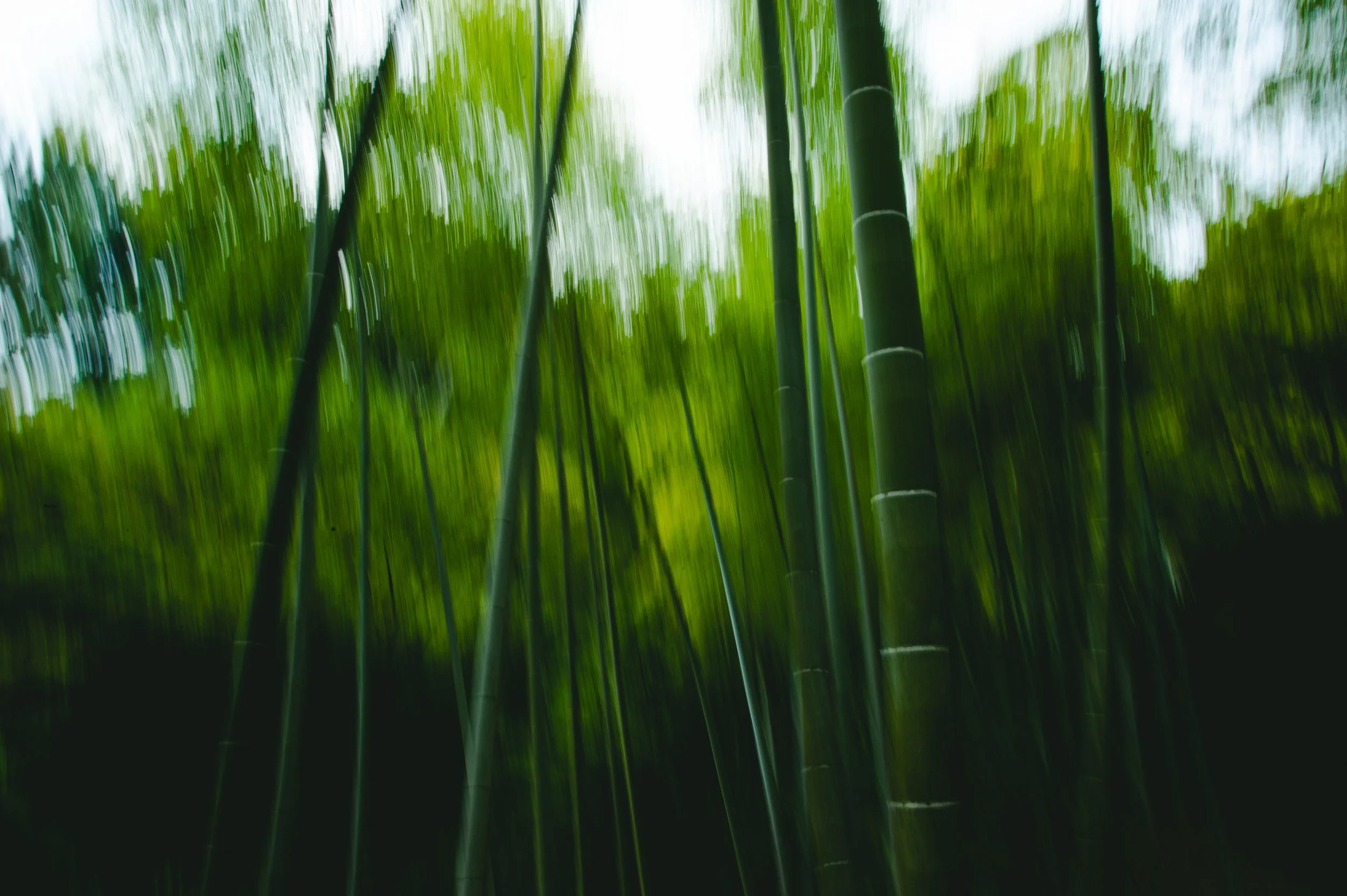 DSC_6887.jpeg