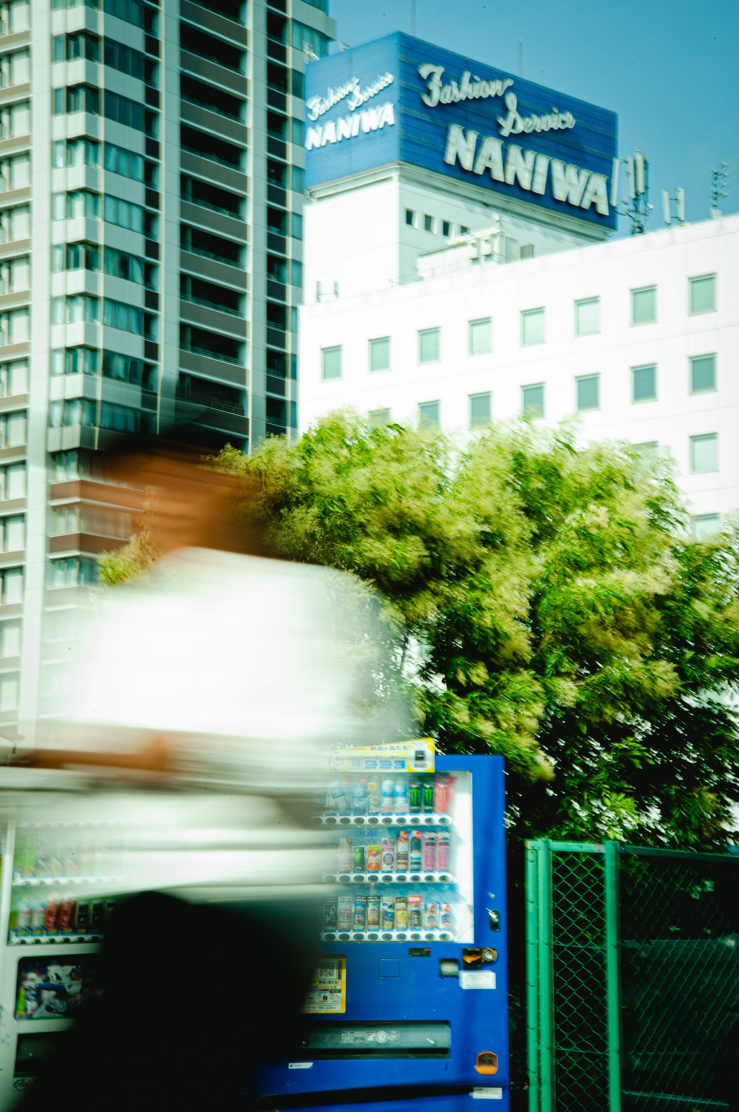 DSC_3862.jpeg