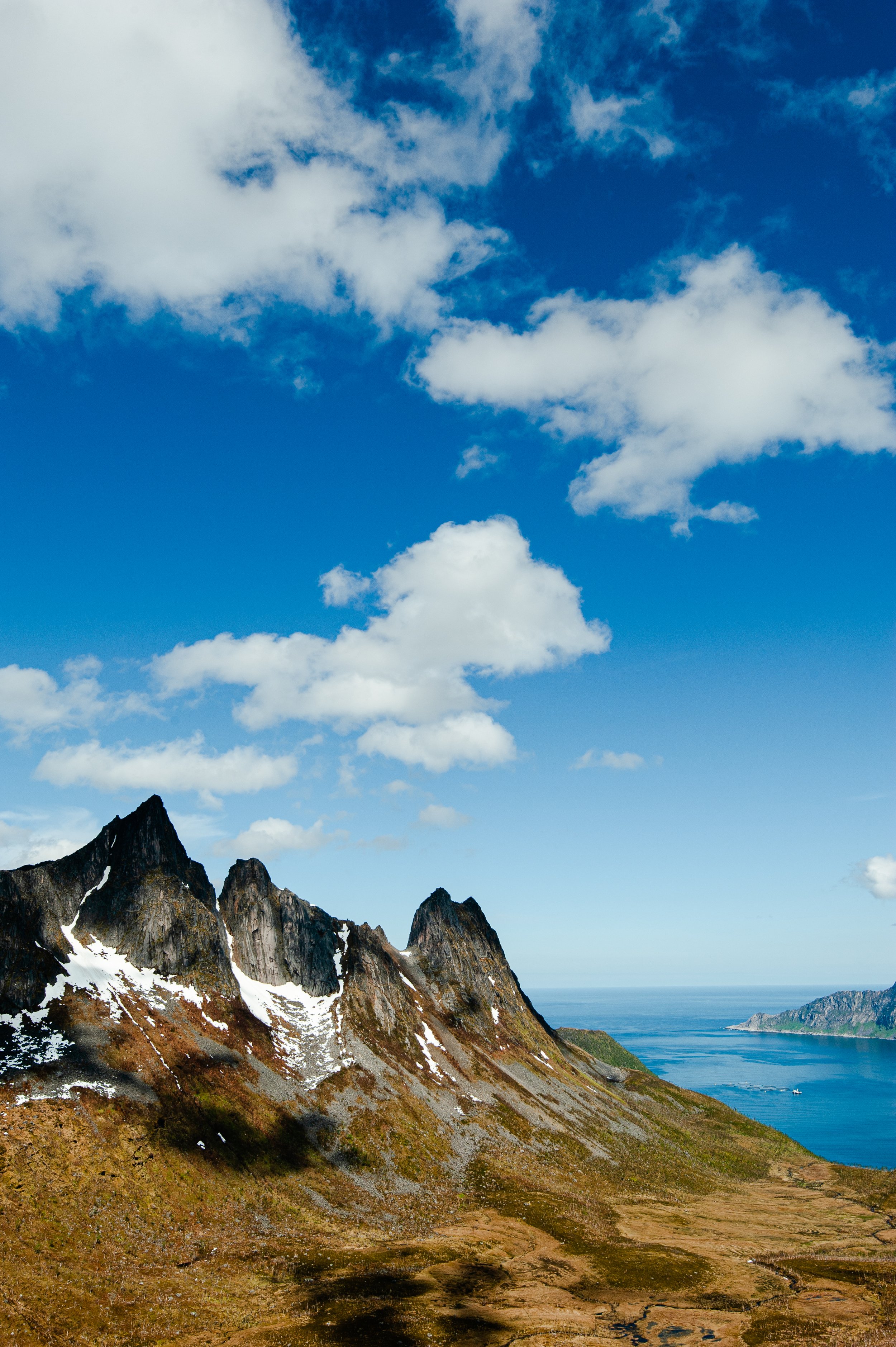 DSC_1768-2.jpg