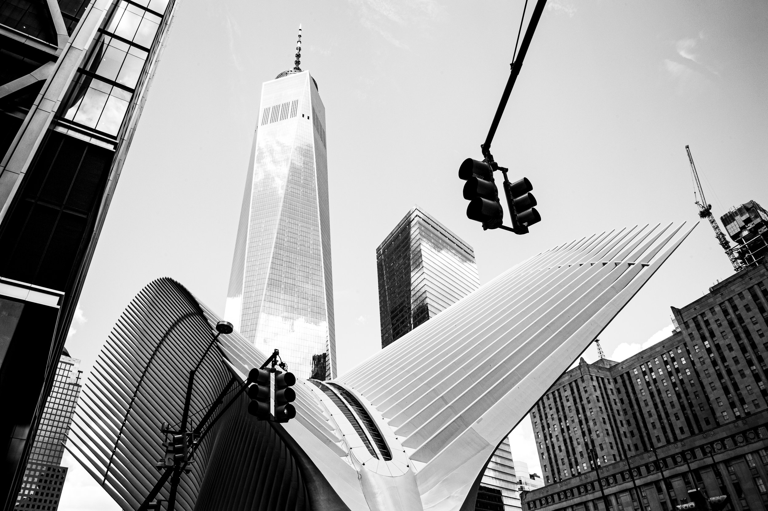 DSC_3437.jpg
