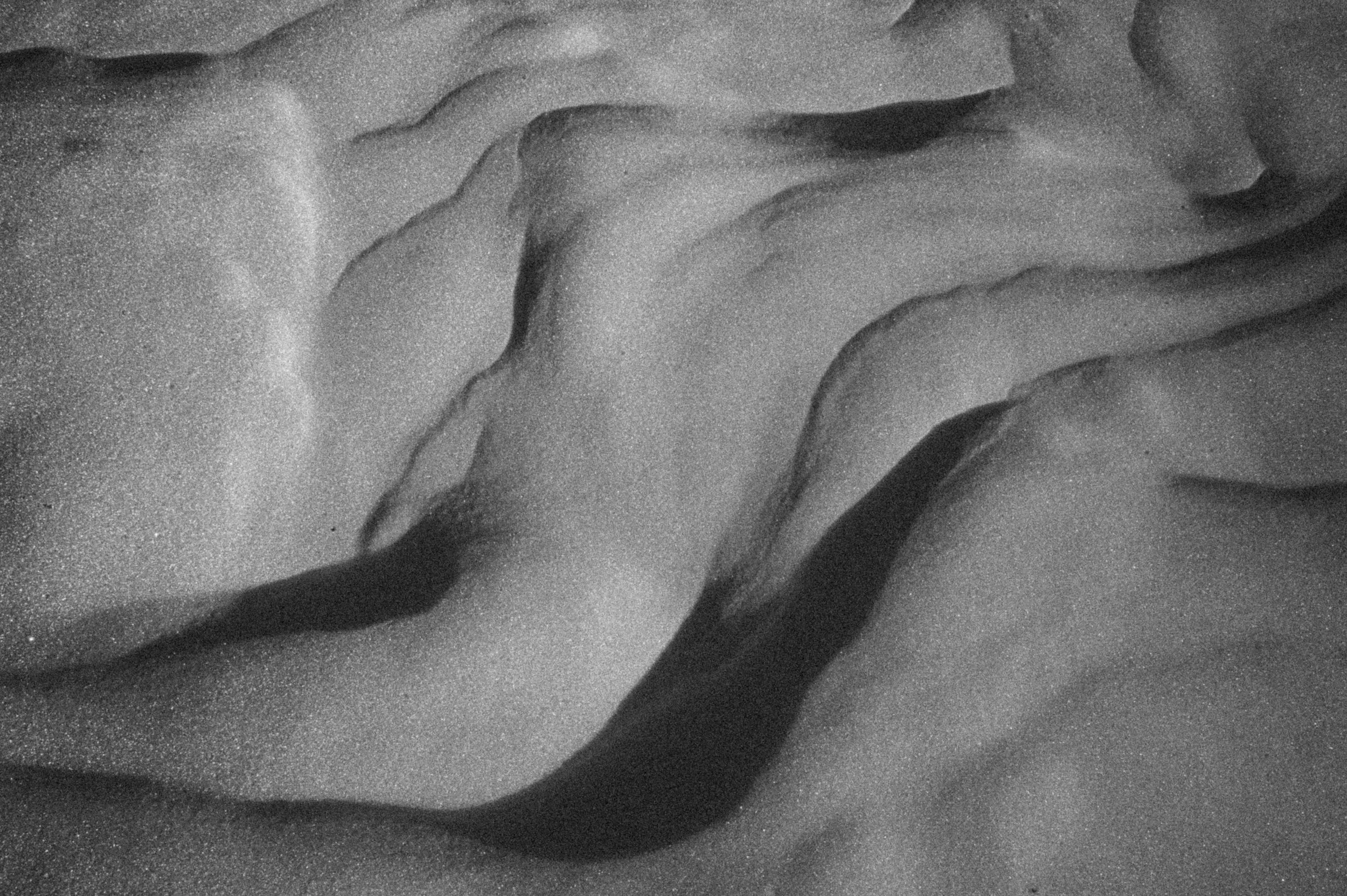 DSC_9124.jpeg