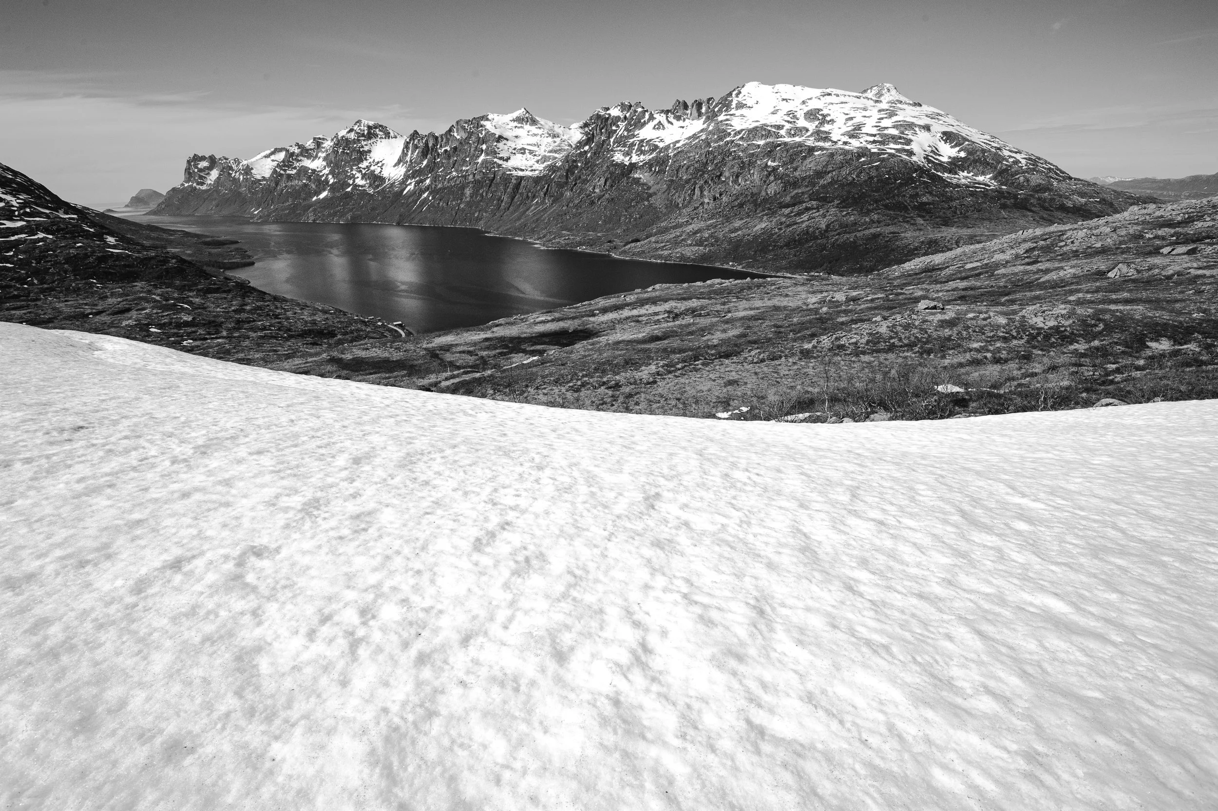DSC_1512.jpg