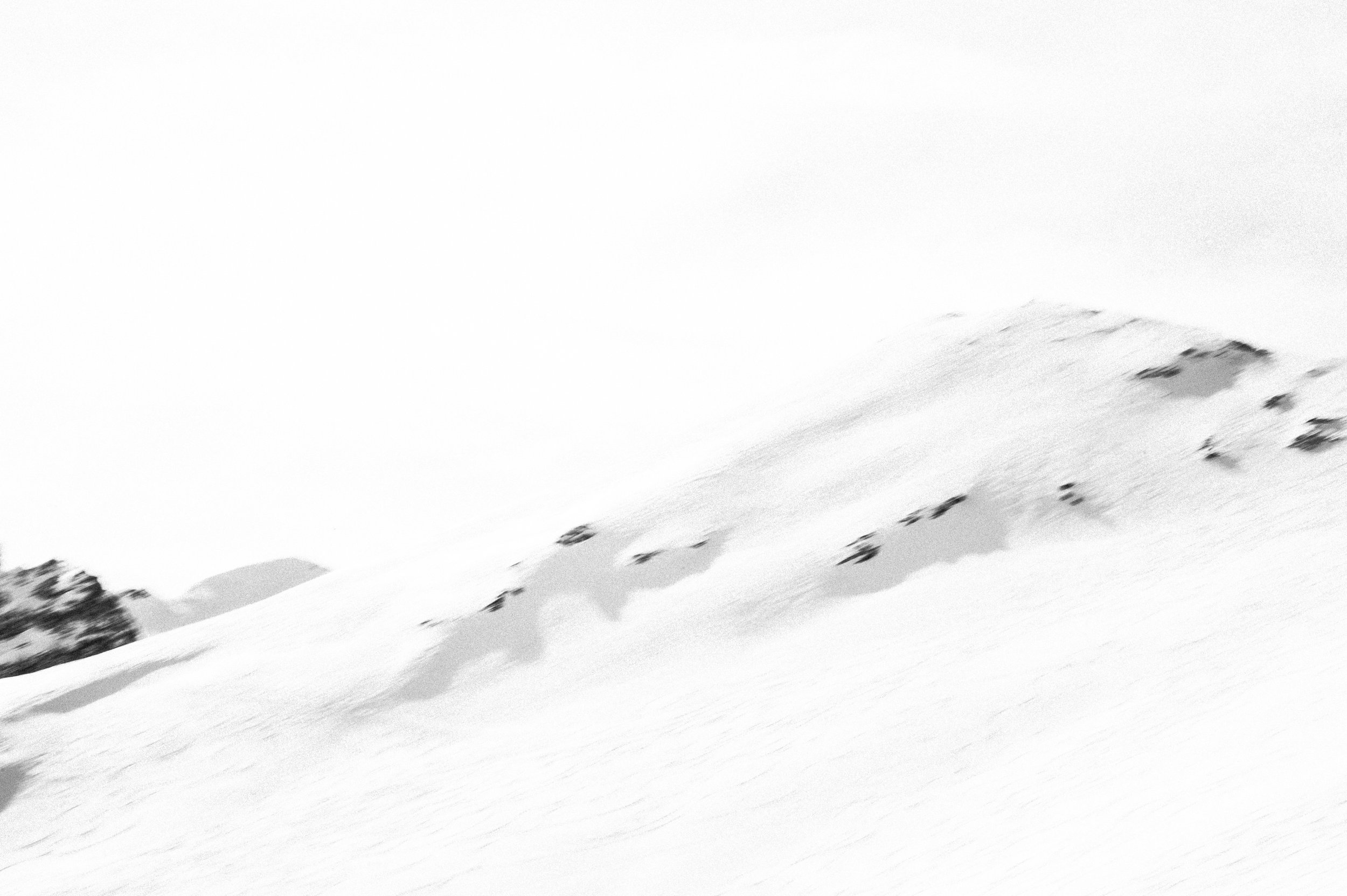 DSC_9095.jpeg