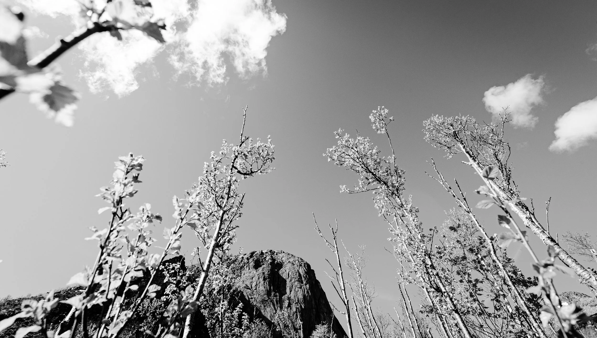 DSC_1743-2.jpg