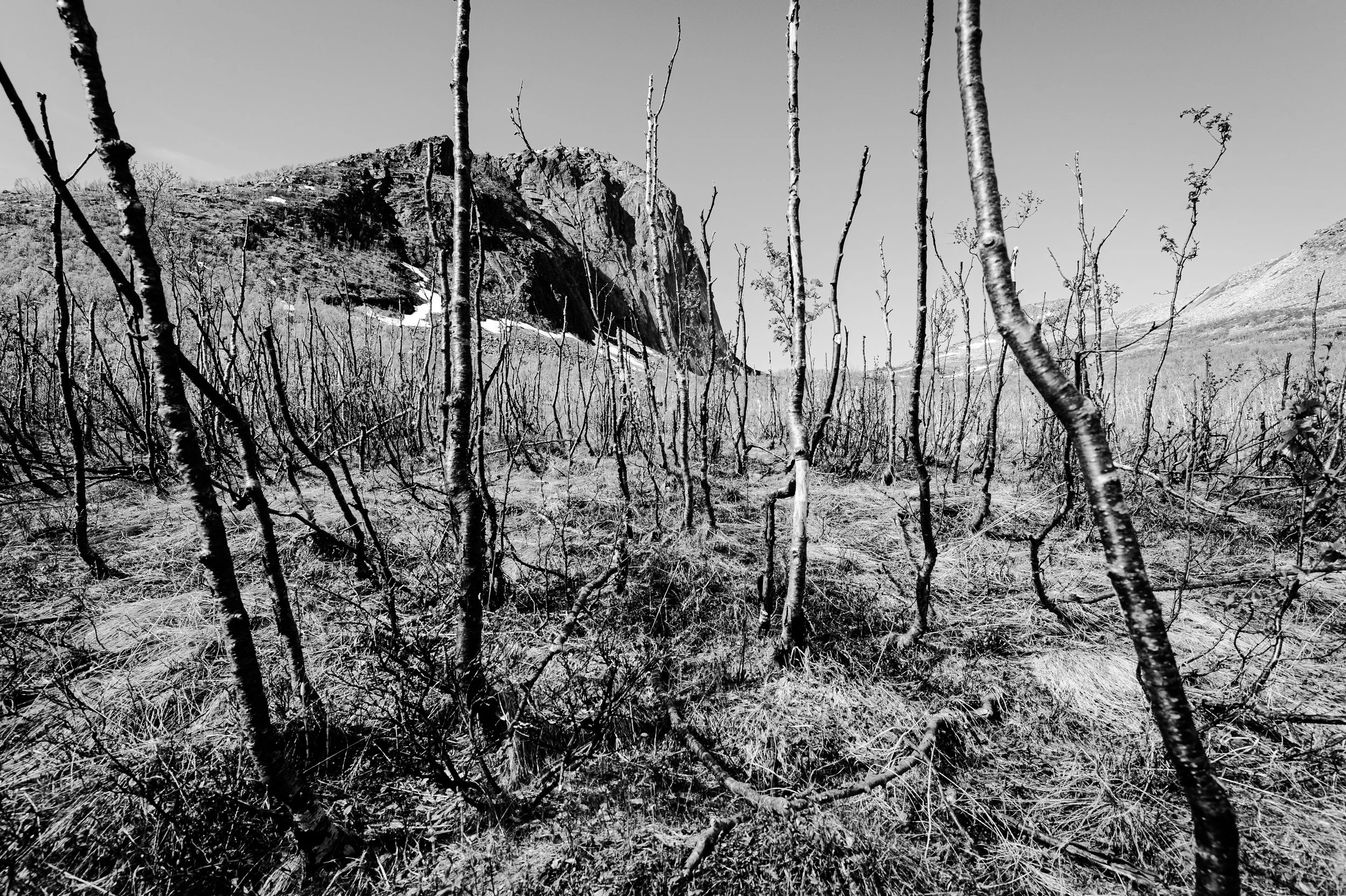 DSC_1734-2.jpg
