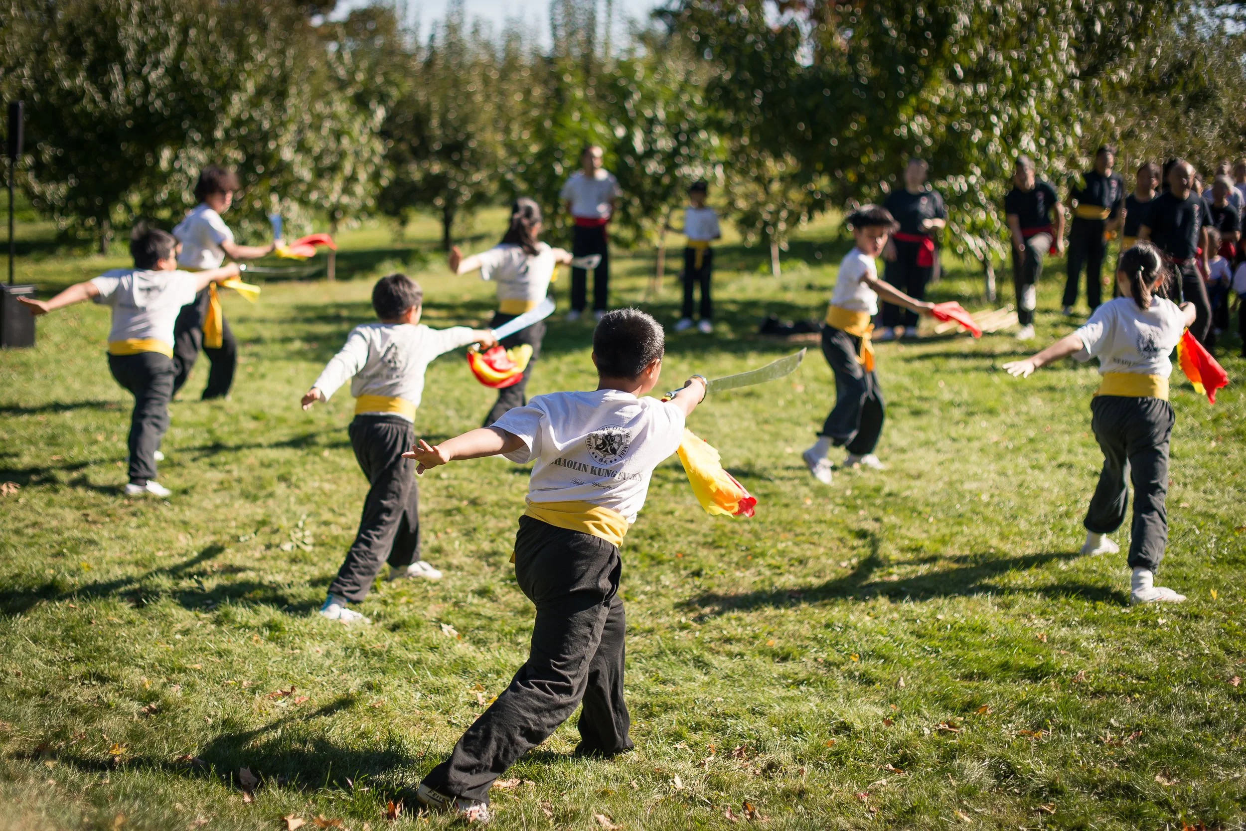 Children practicing martial arts outdoors in a park with trees, wearing uniforms with yellow belts and holding colorful foam swords.