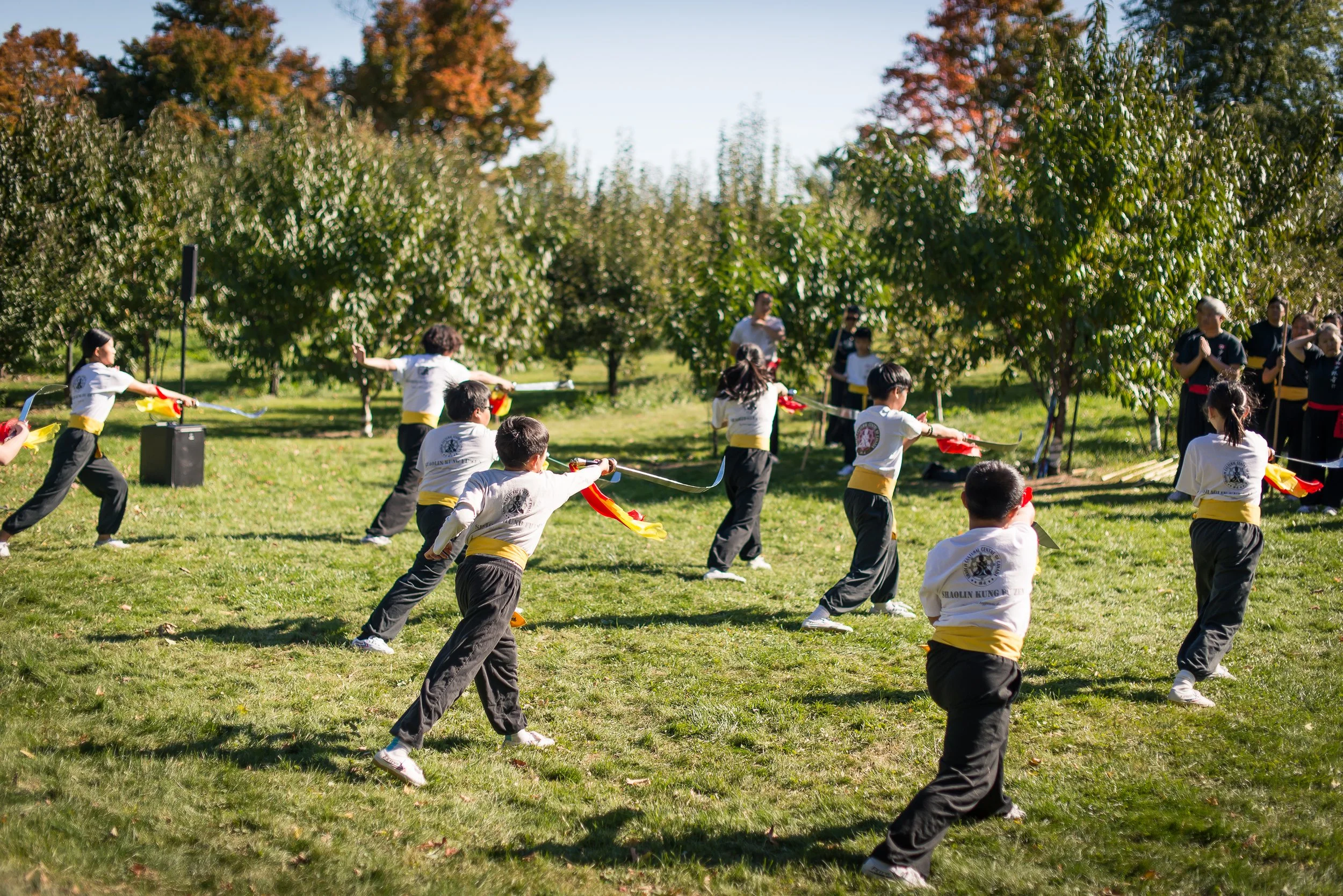 Children practicing martial arts with swords outdoors on a grassy field with trees in the background.