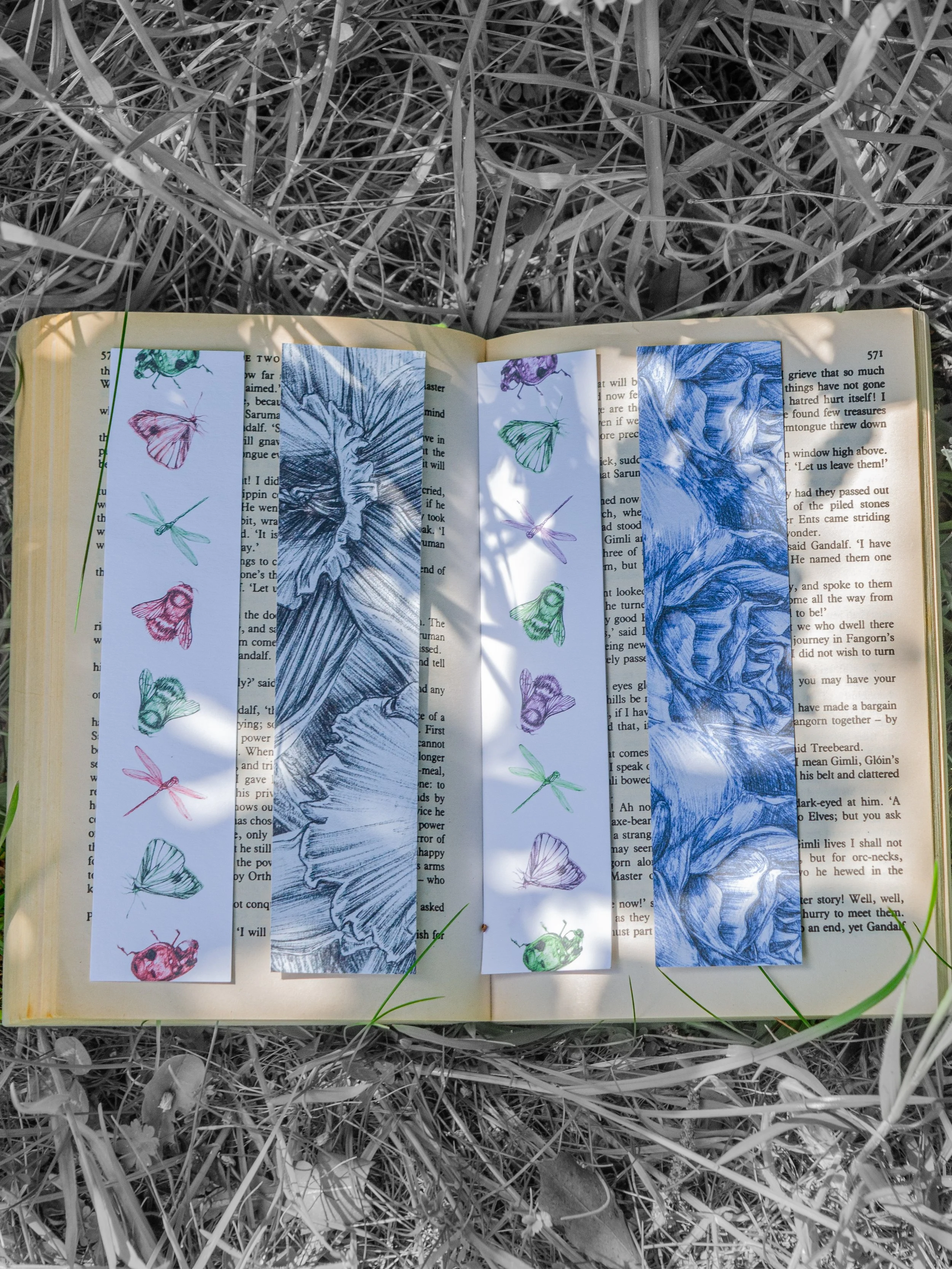 DSC_8750.jpeg