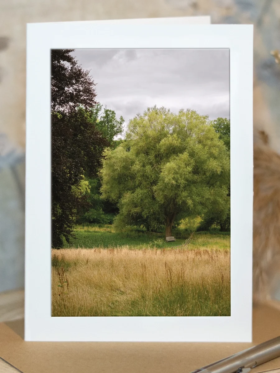 Meet Me Where Time Rests