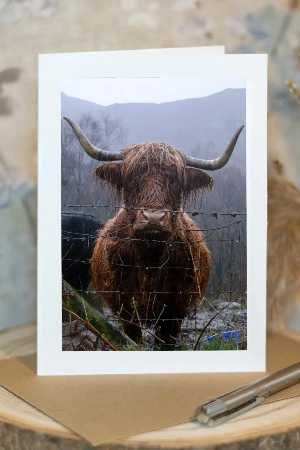 Highland Guardian (P)