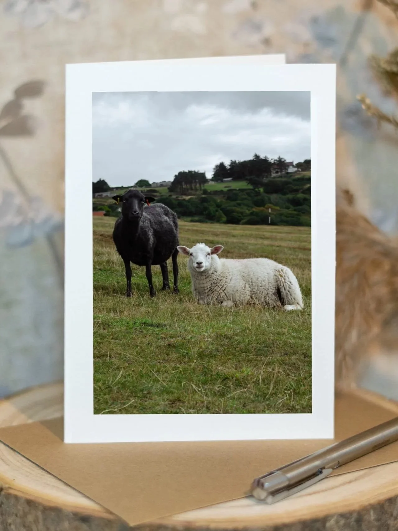 The Sheep of Robin Hood’s Bay