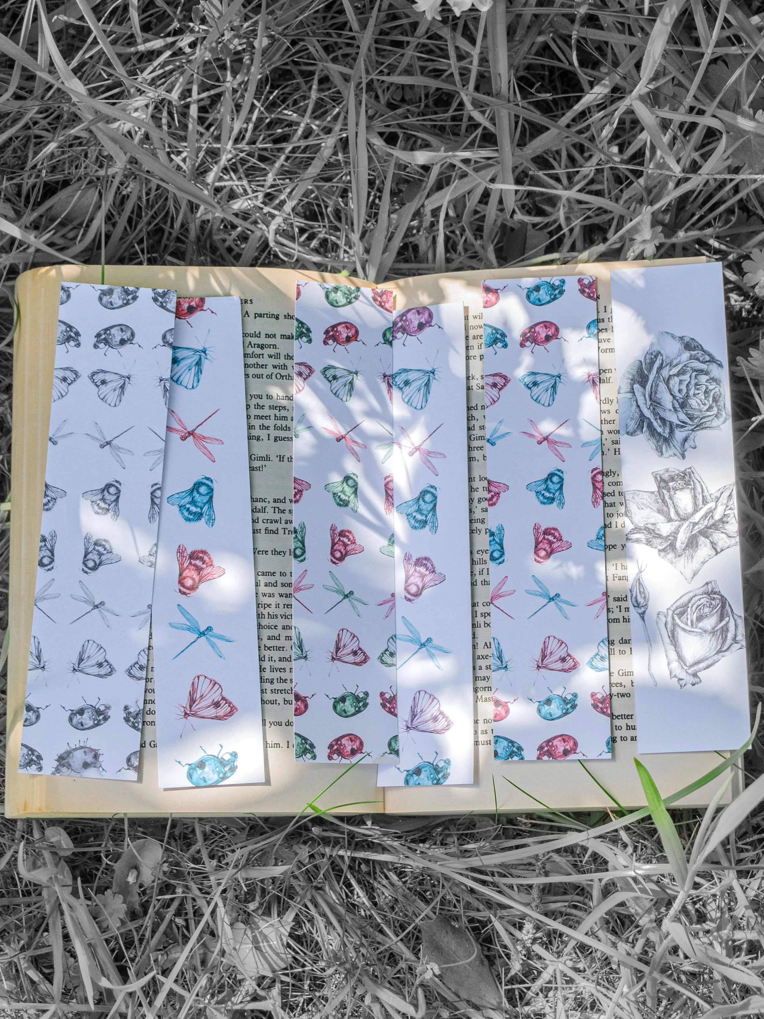 DSC_8748.jpeg