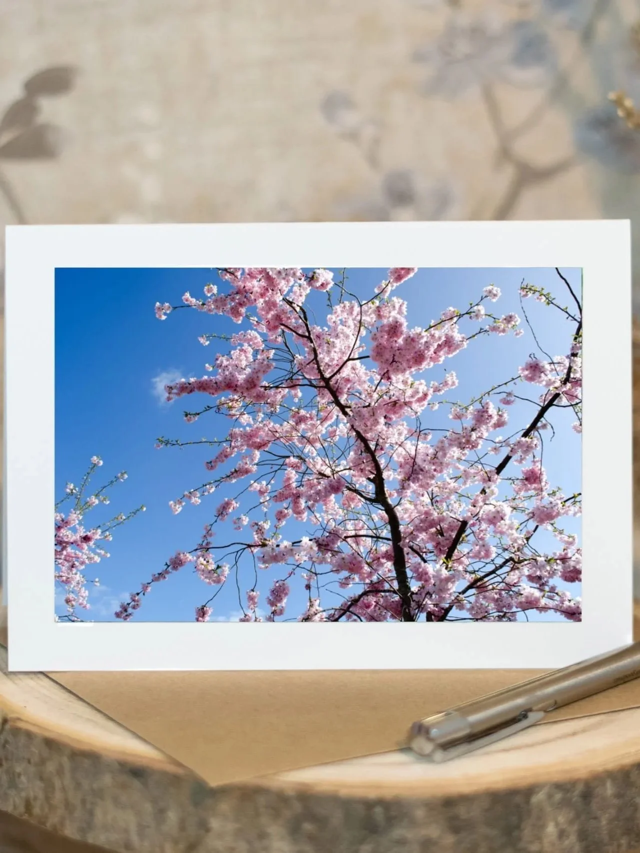 First Breath of Spring