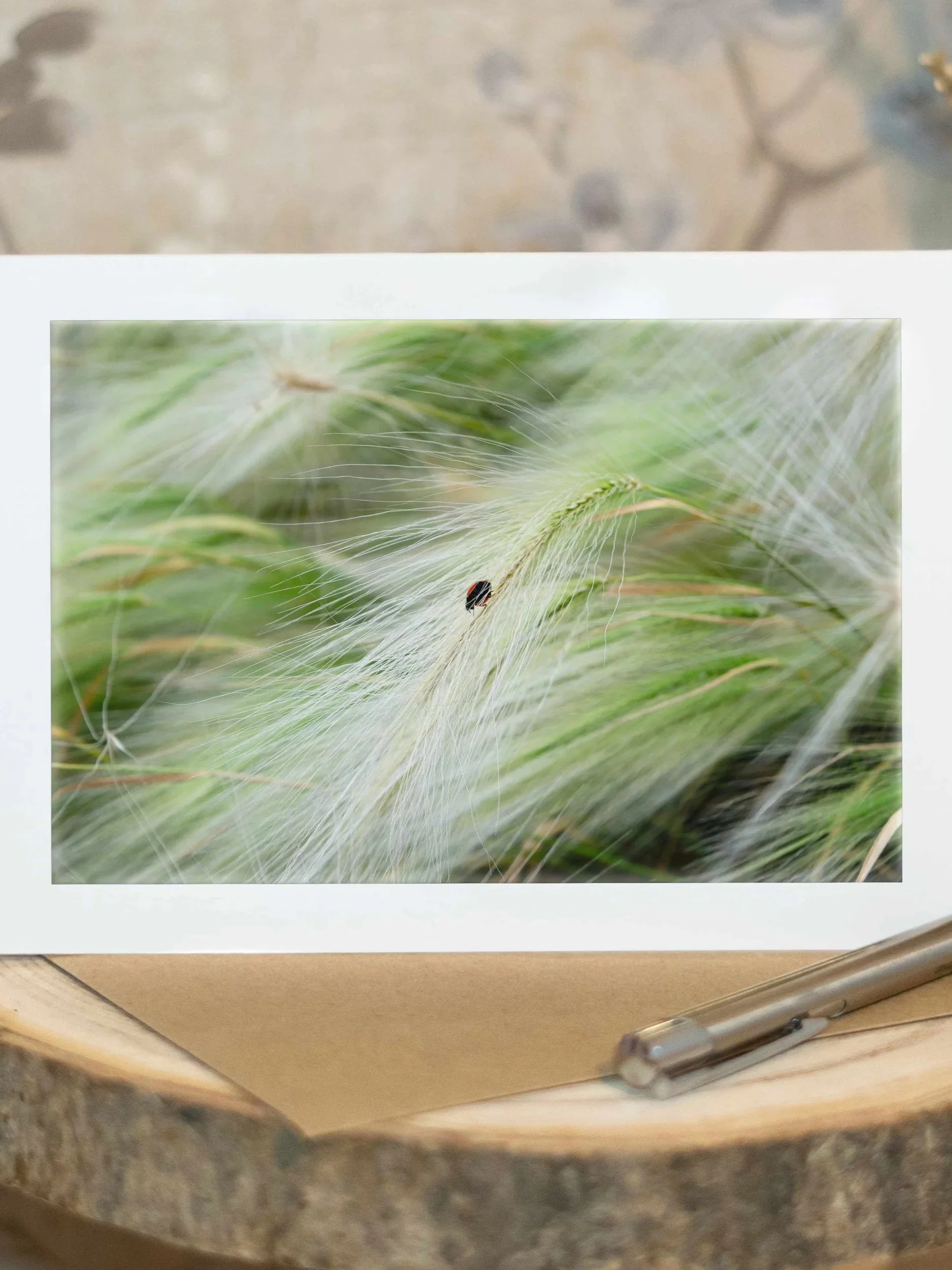 Miniature Garden Guardian