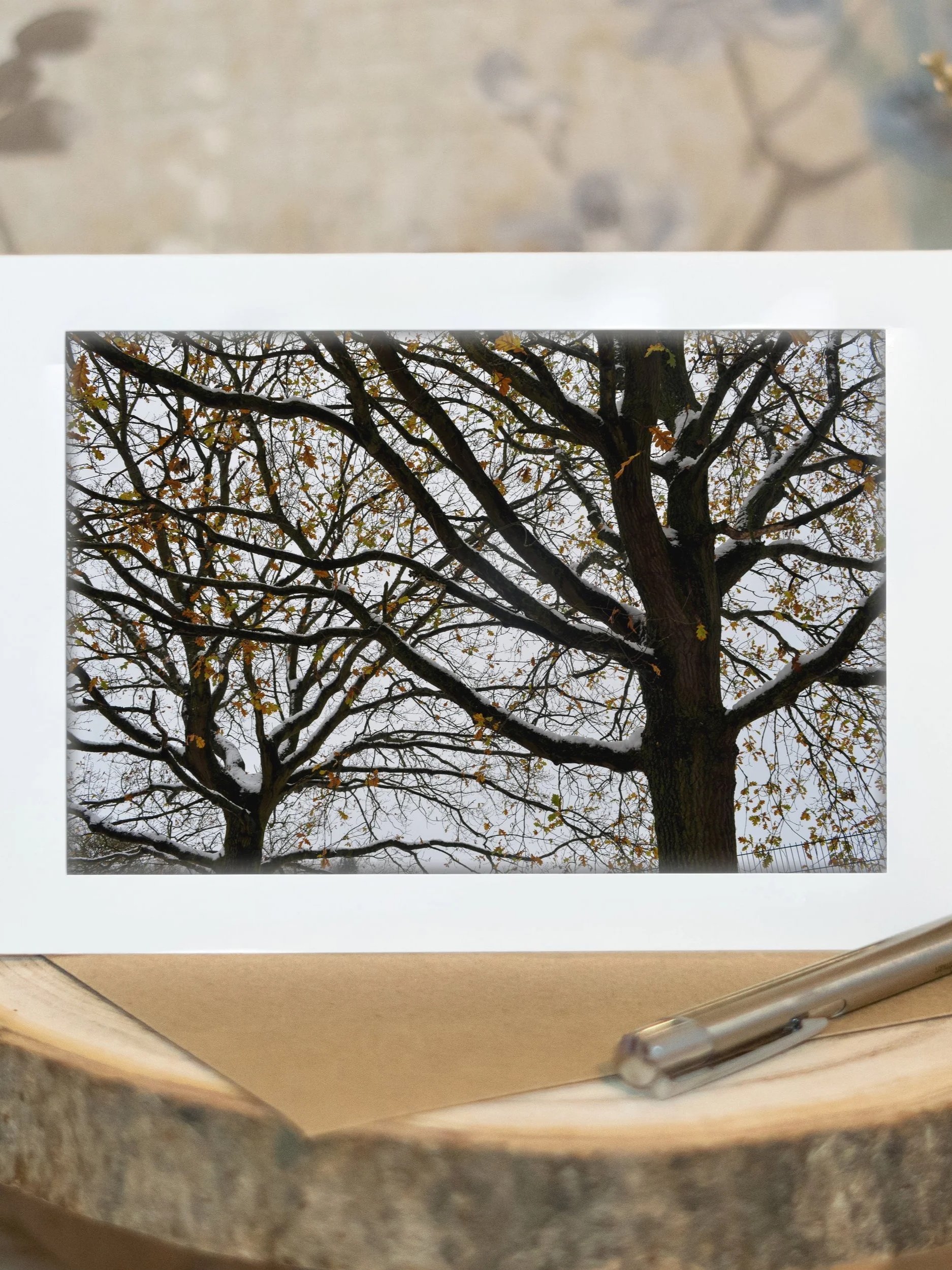 Companions Through the Fall