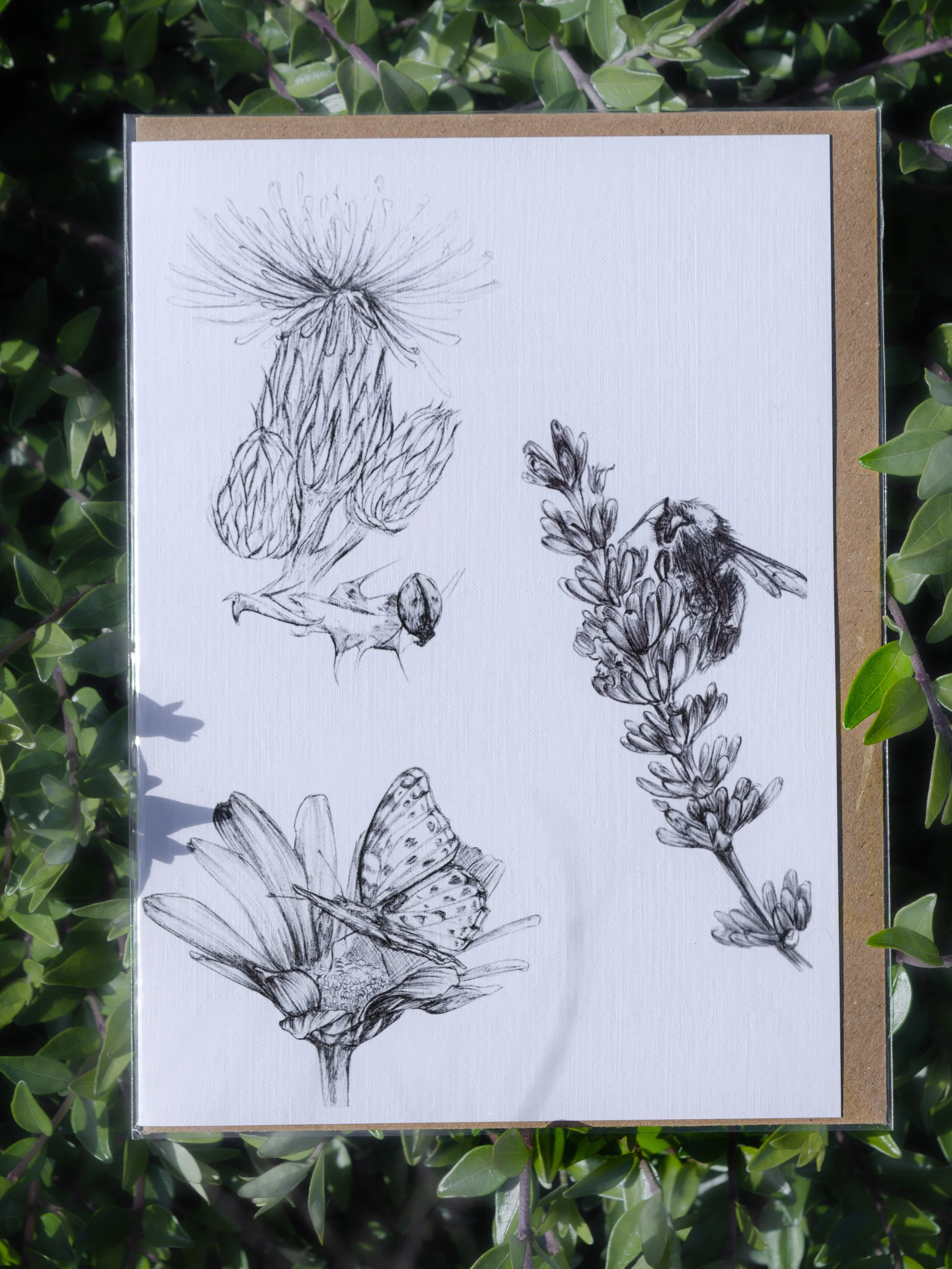 The Garden's Keepers