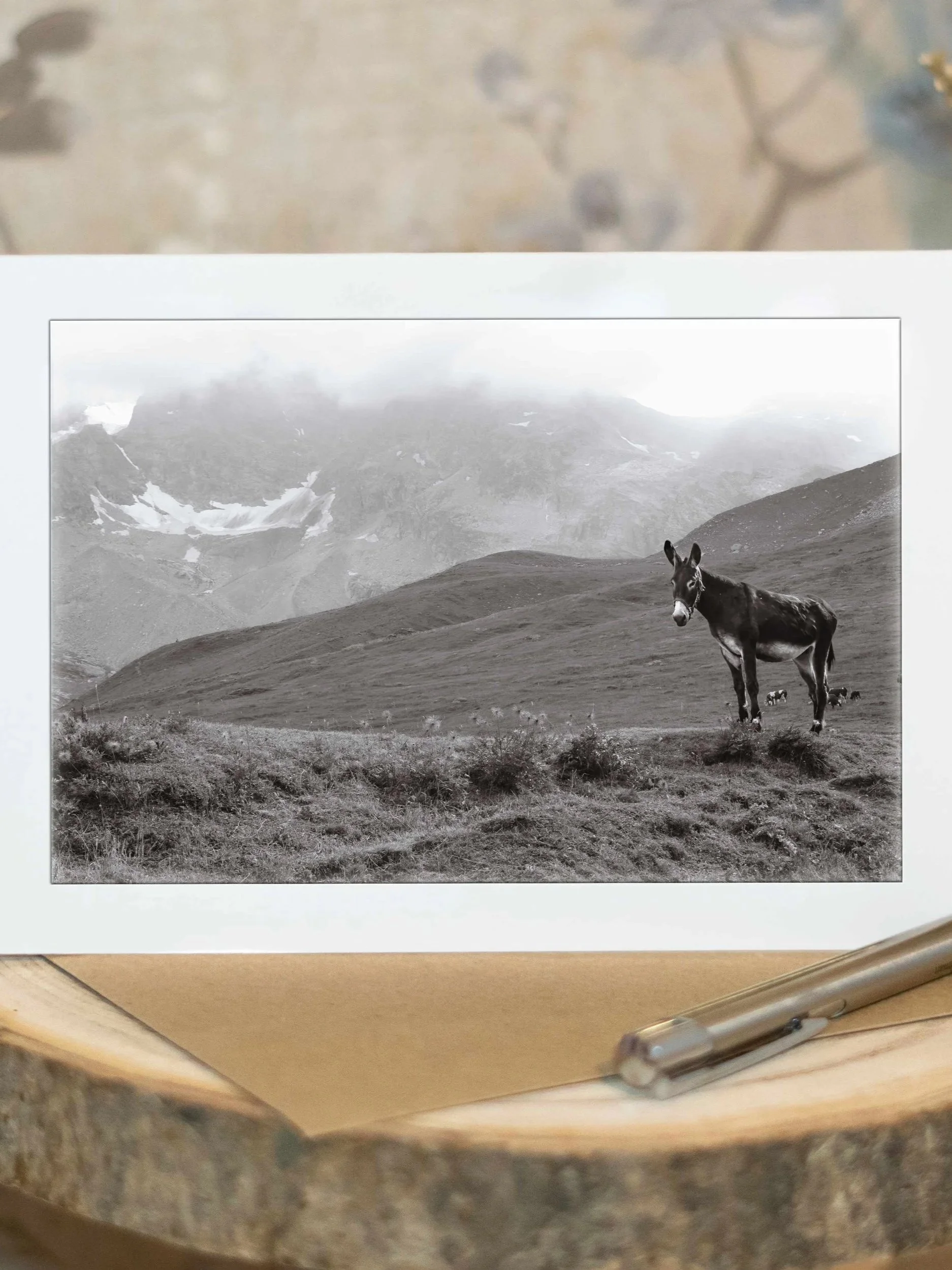 Soft Eyes Against the Vast