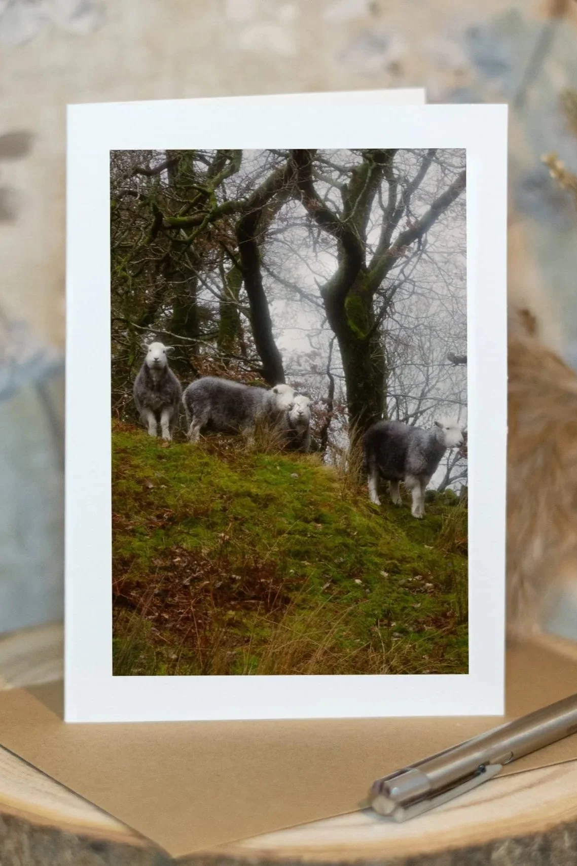 The Sheep of Eskdale