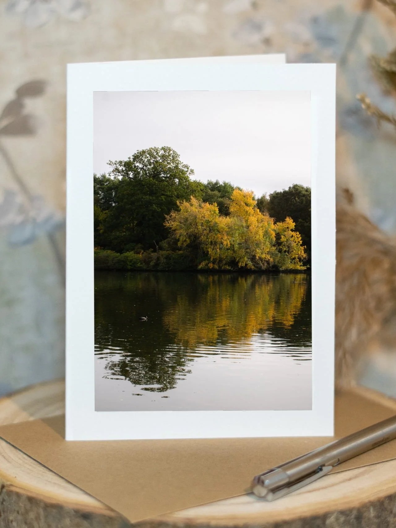 Mirror of the Season [P]