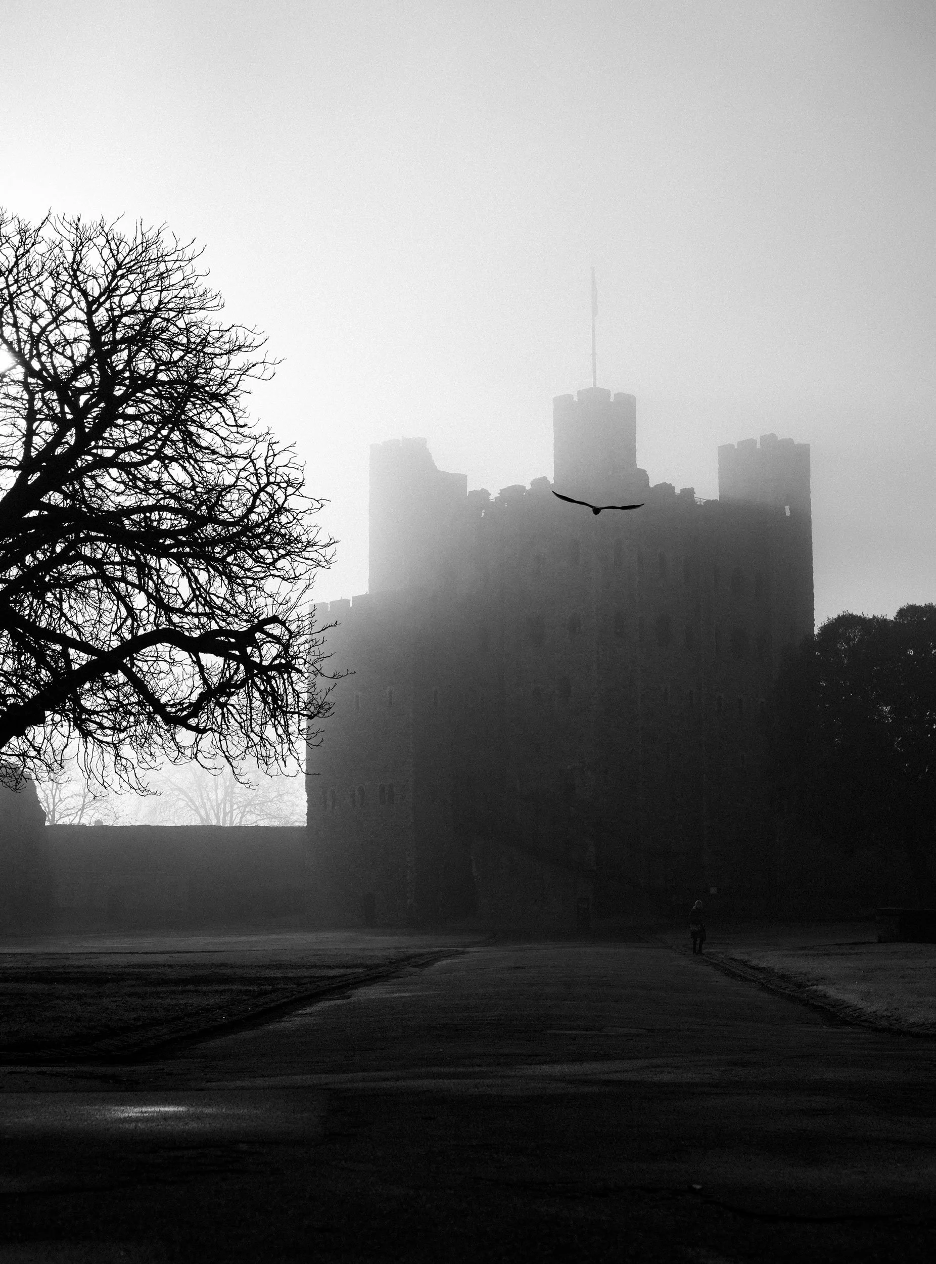 A black and white photo of a castle shrouded in fog, with a barren tree on the left and a person walking in the distance, and a bird flying in front of the castle. Rochester castle in the fog
