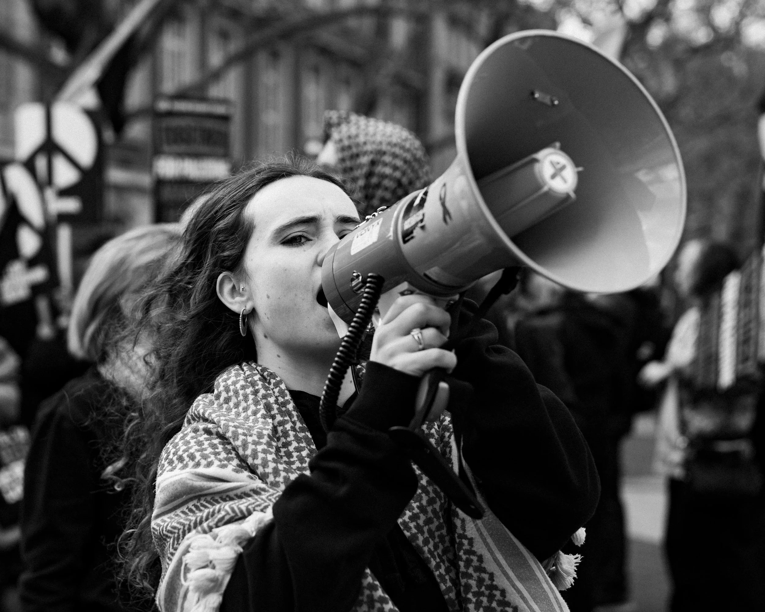 A Sea of Voices