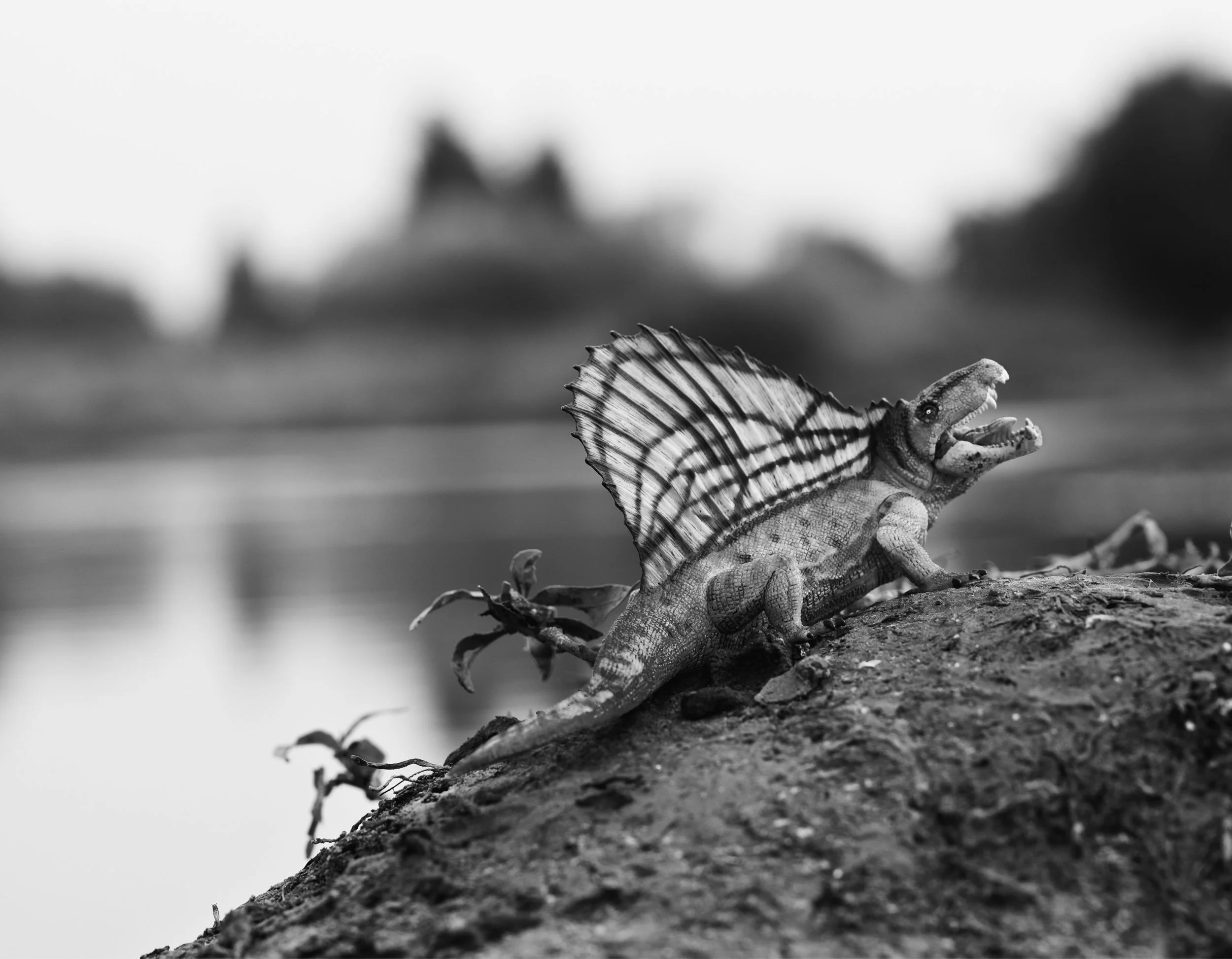 Marc_Ayres_Photography_Toys_8.jpg