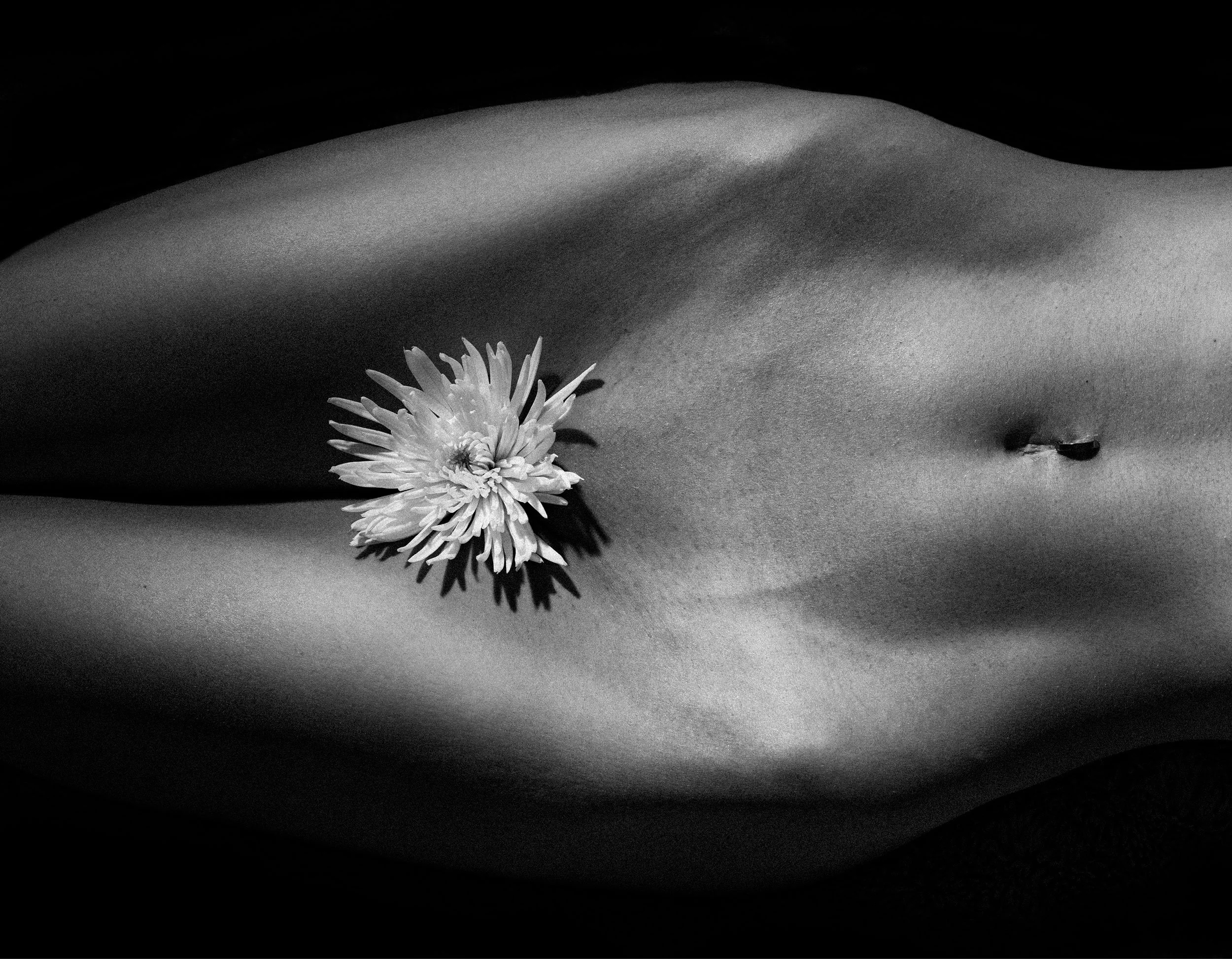 A close-up black and white photo of a human torso with a flower placed near the waist, highlighting the curves and skin texture.