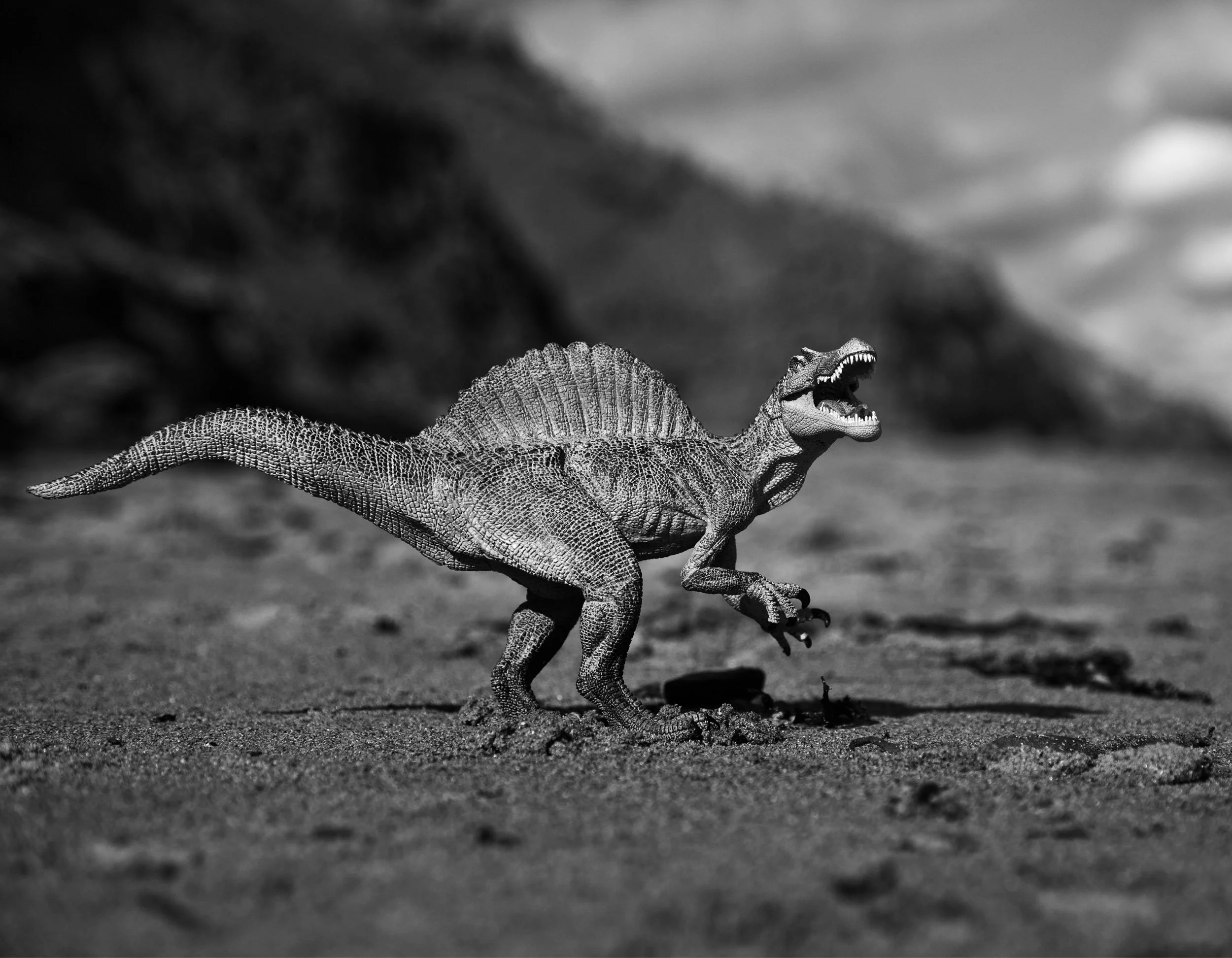 Marc_Ayres_Photography_Toys_7.jpg