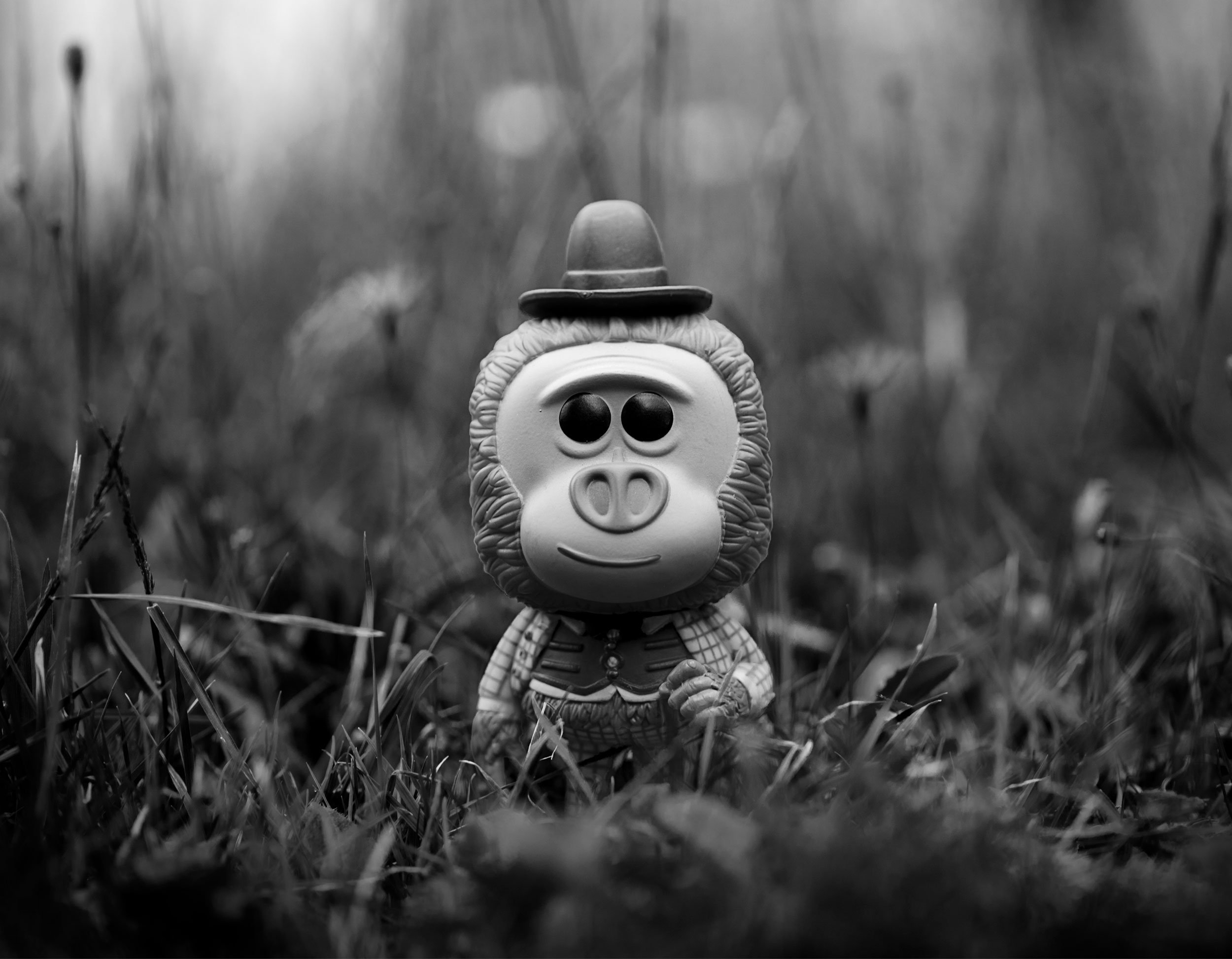 Marc_Ayres_Photography_Toys_16_link.jpg