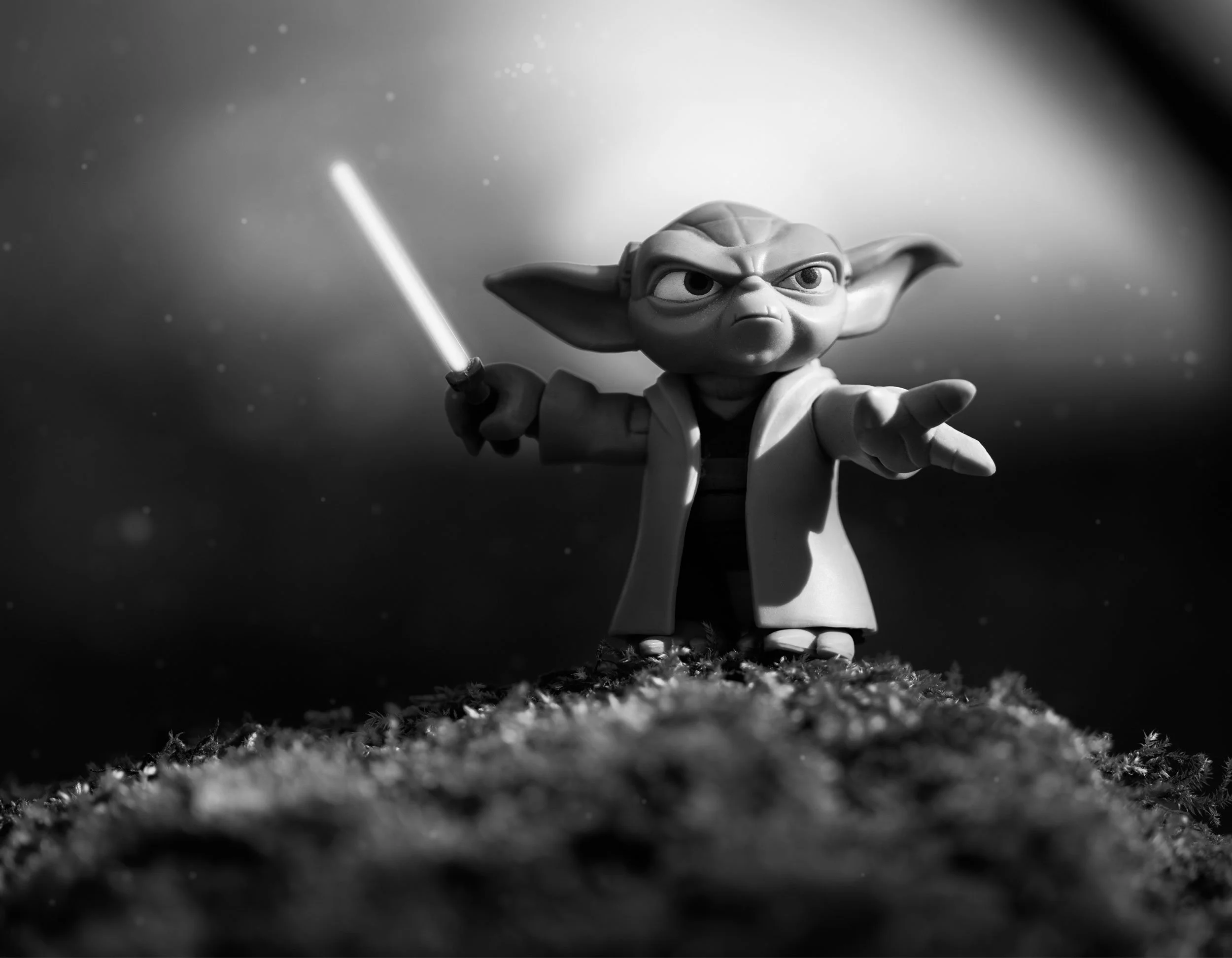 Marc_Ayres_Photography_Toys_14_yoda.jpg