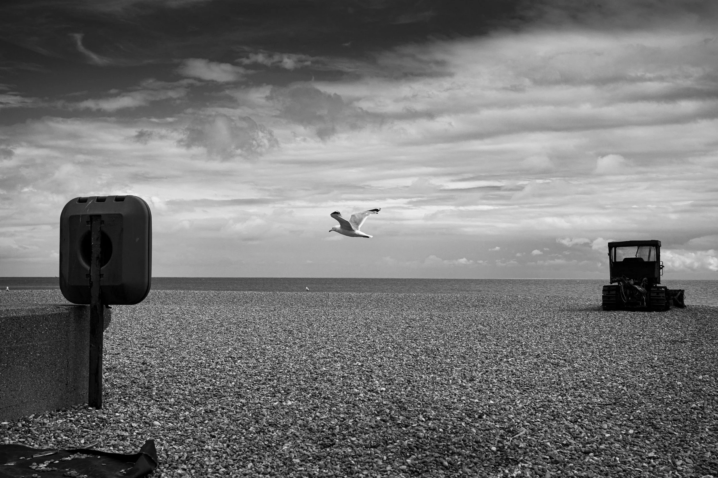 Seagull flying over Deal beach, Kent 