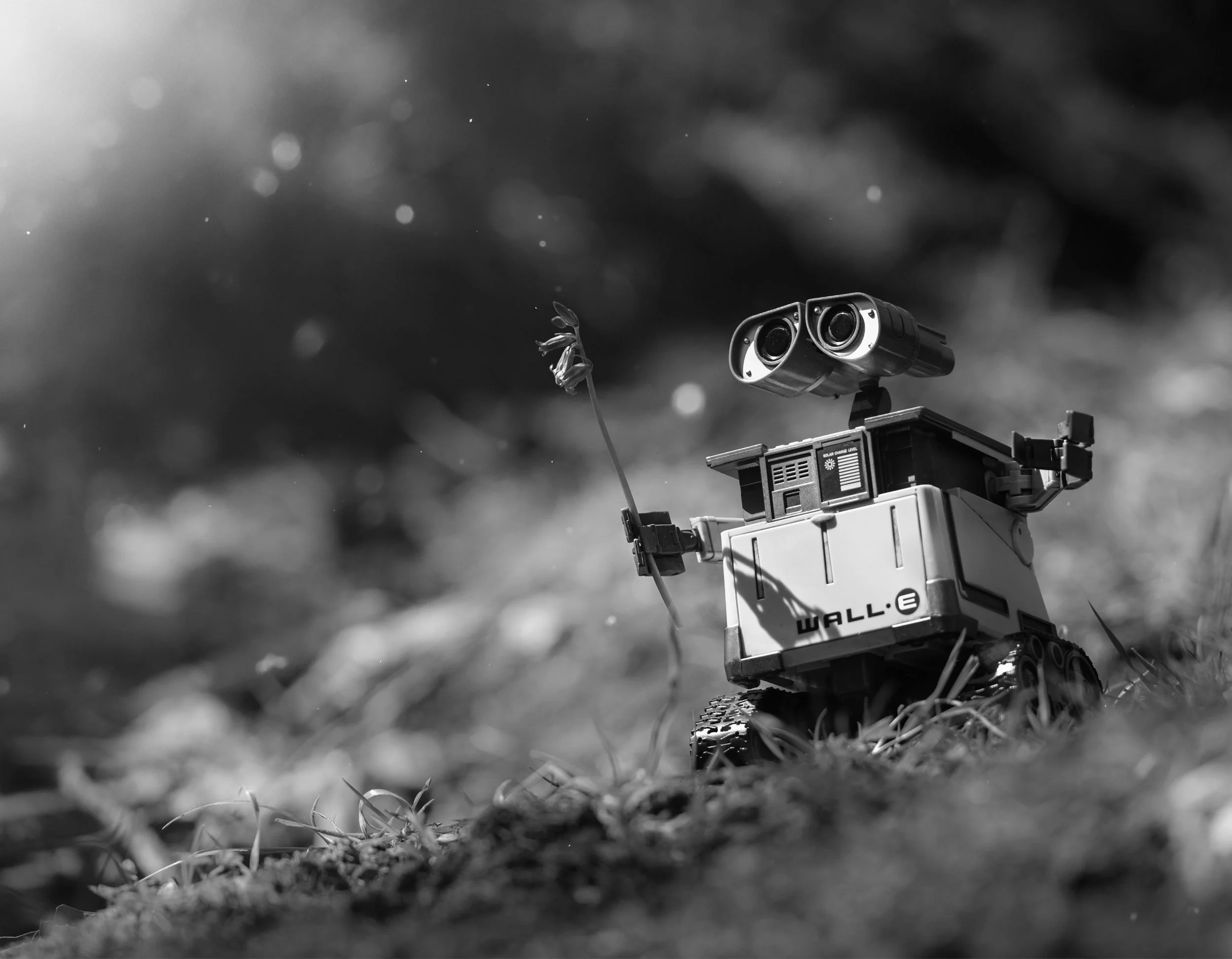 Marc_Ayres_Photography_Toys_13_walle.jpg