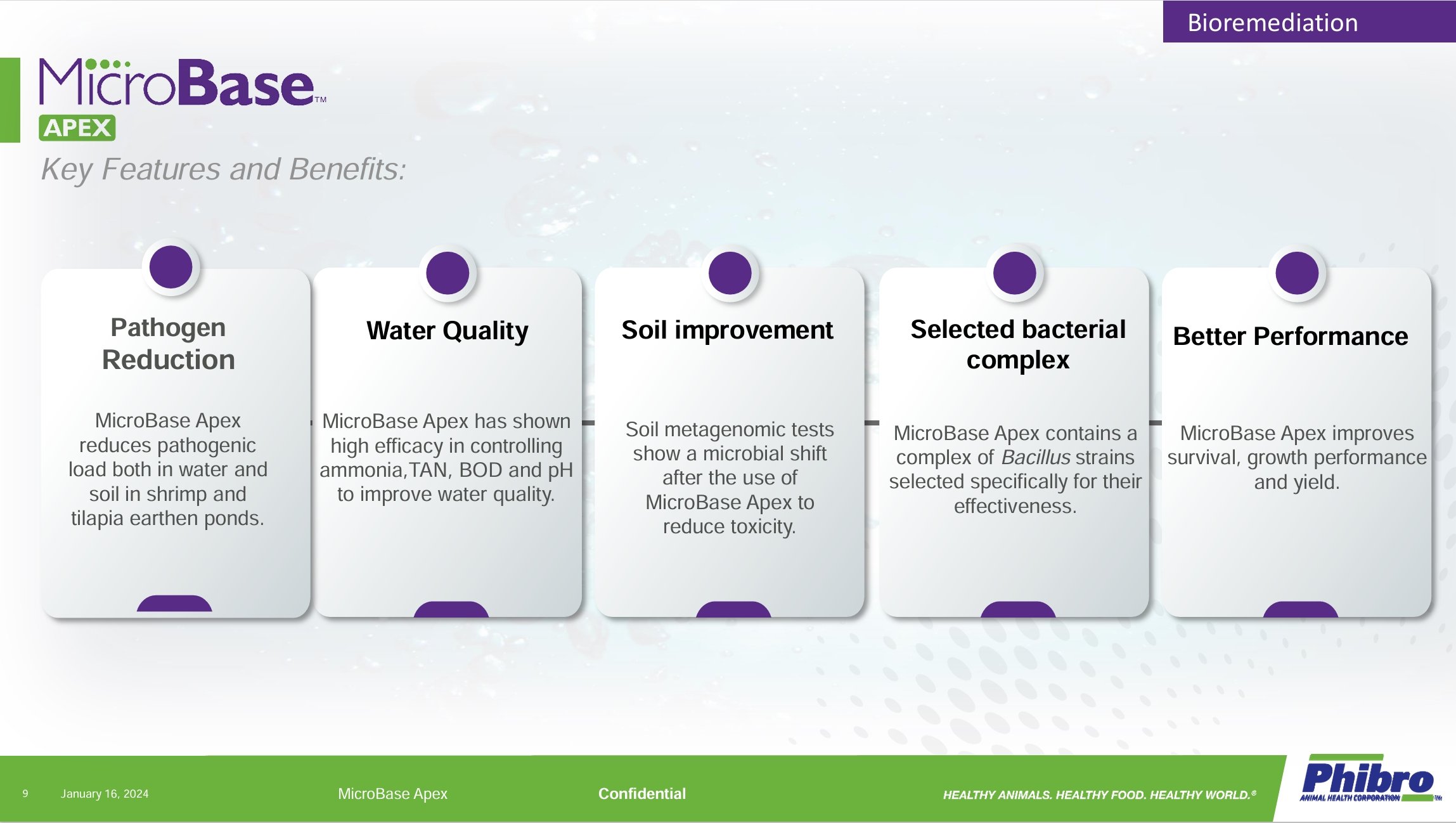 Apex Key Benefits.jpeg